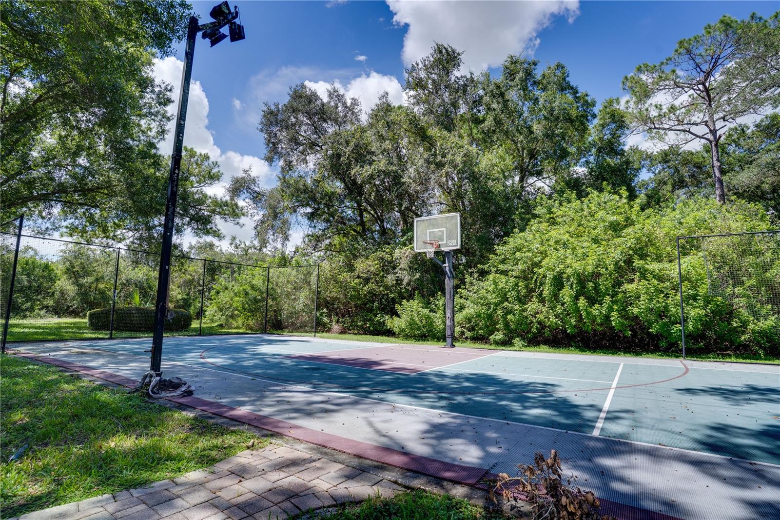 12511 PALOMINO CT — photo 71