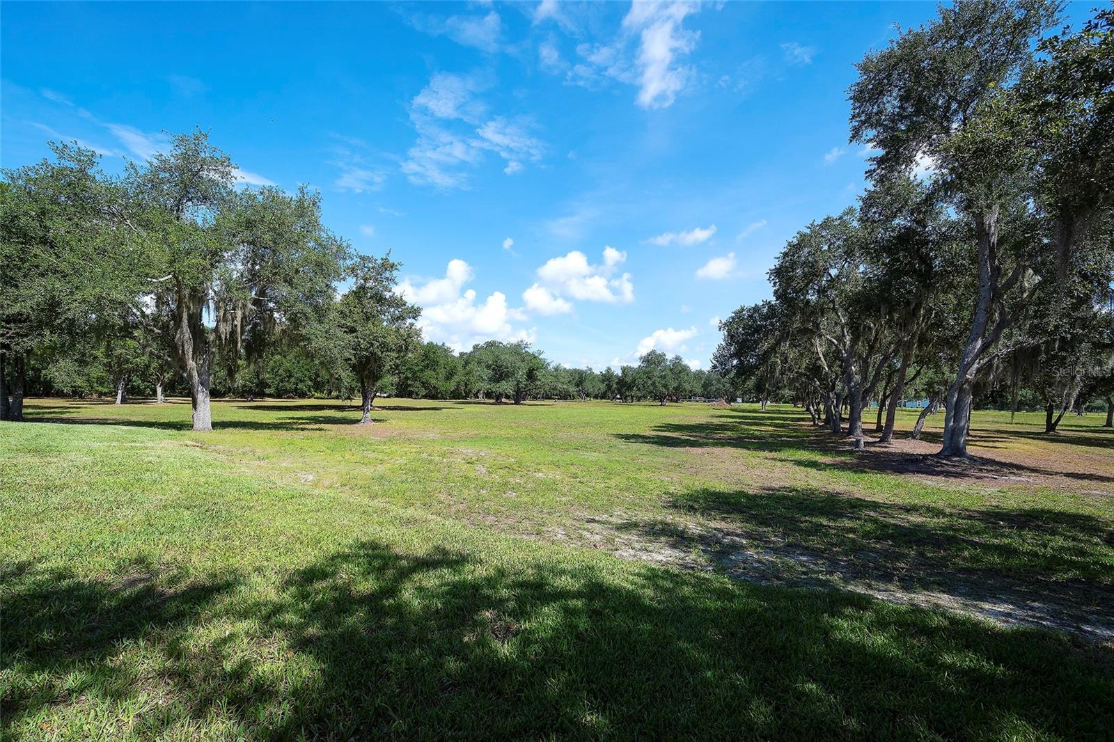6200 VERNA RD — photo 61