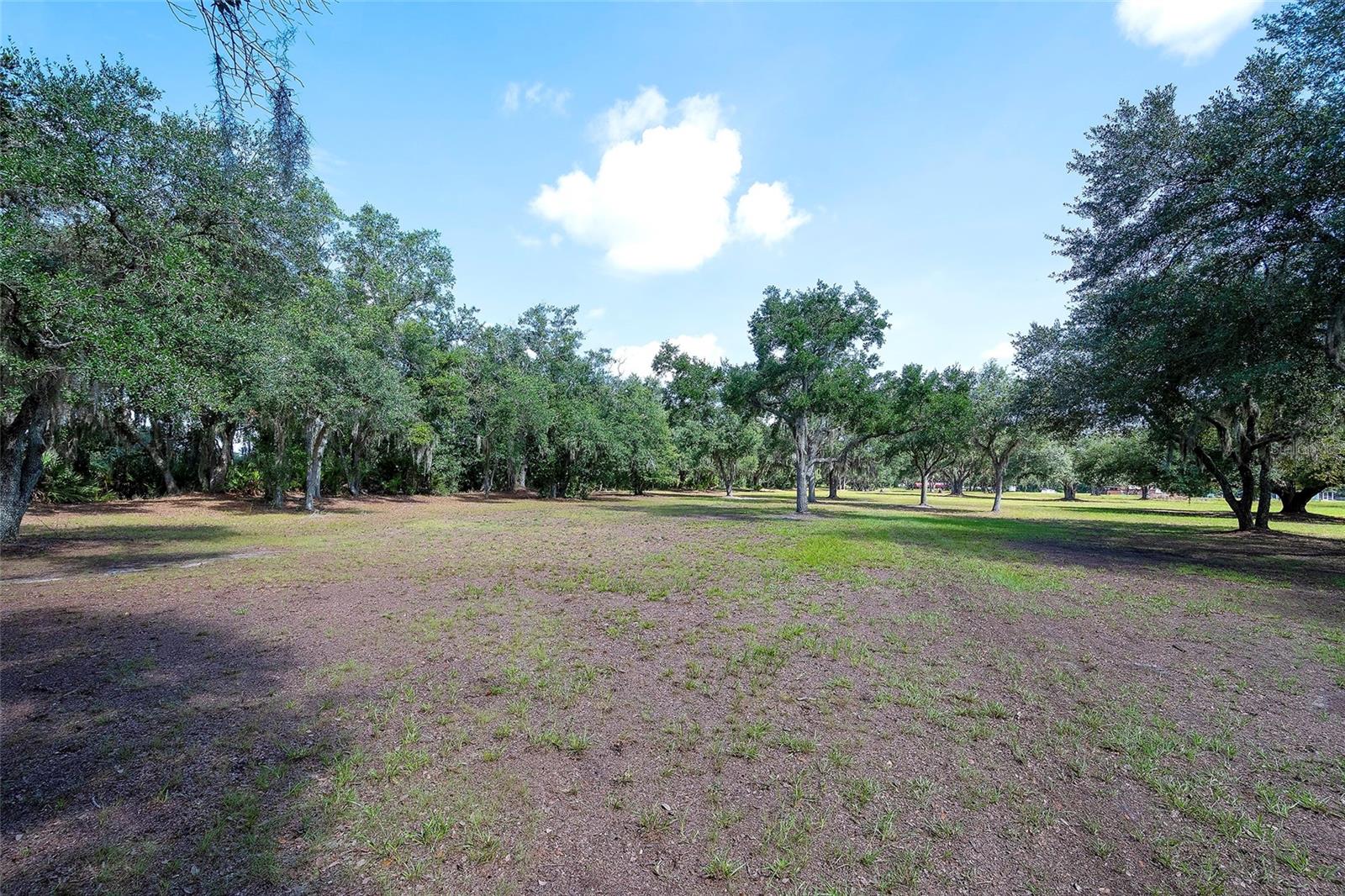6200 VERNA RD — photo 62