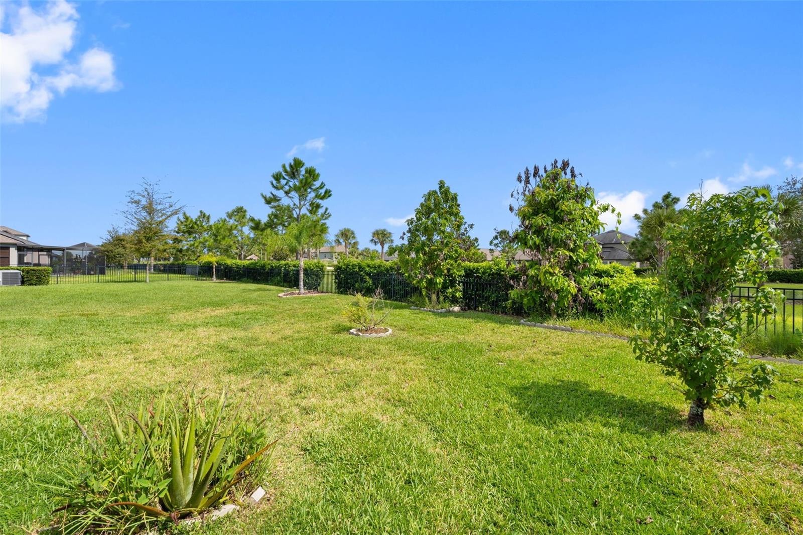9730 IVORY DR — photo 48