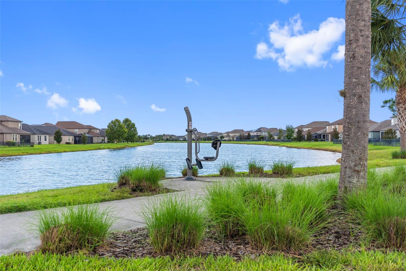 9730 IVORY DR — photo 45
