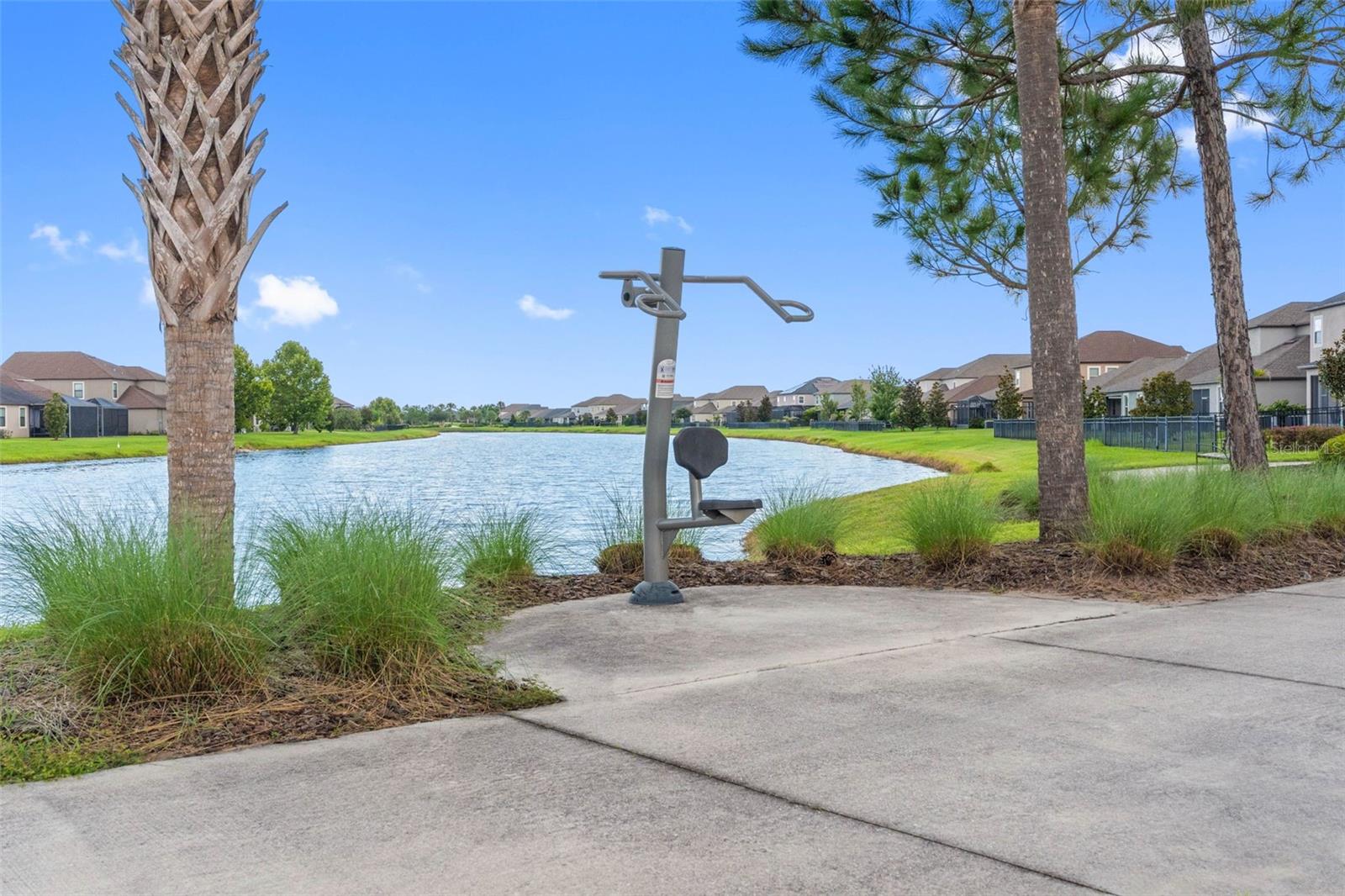 9730 IVORY DR — photo 46