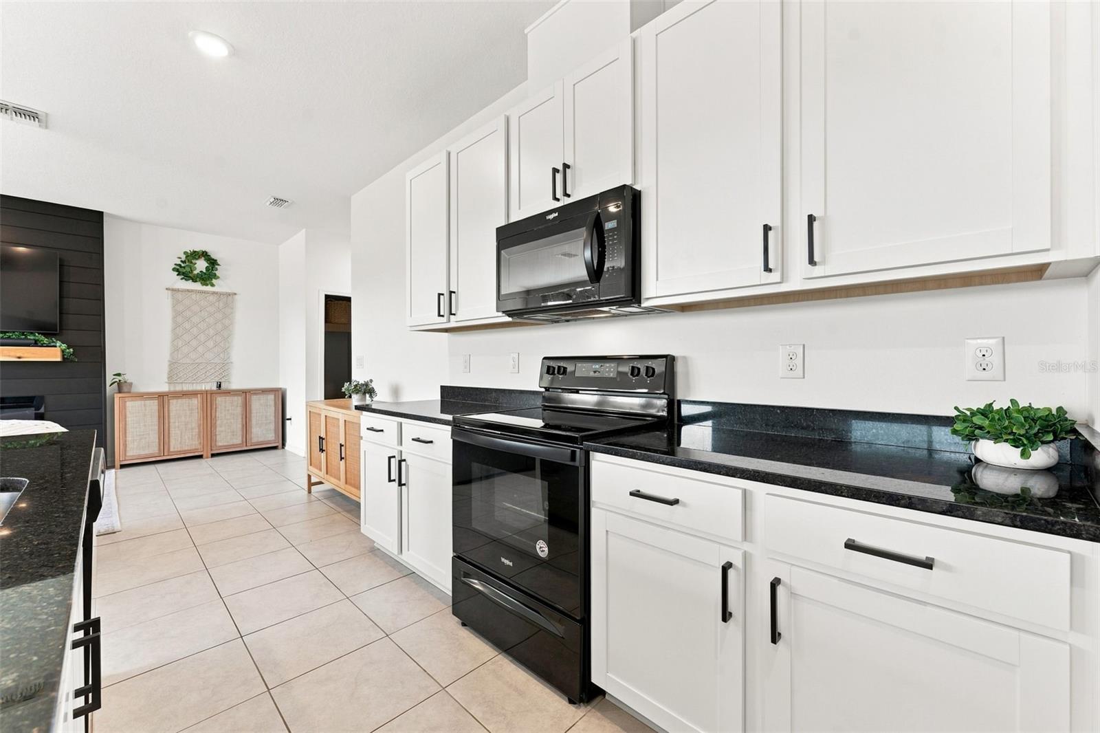 34103 WHITE FOUNTAIN CT — photo 6