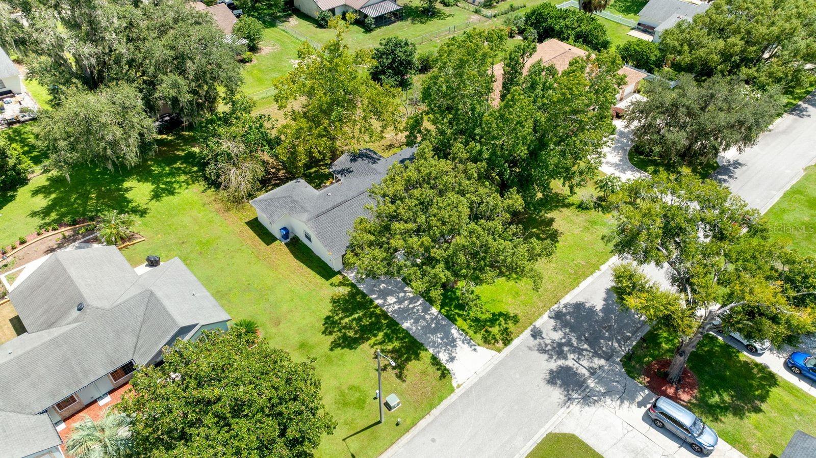 11836 ORANGE ST — photo 42