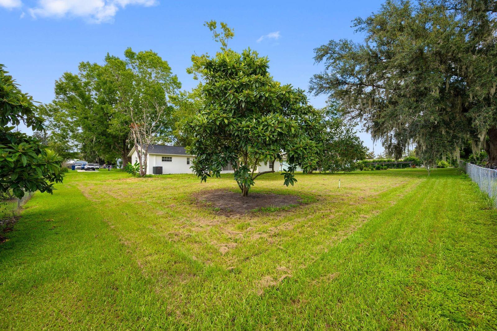 11836 ORANGE ST — photo 36