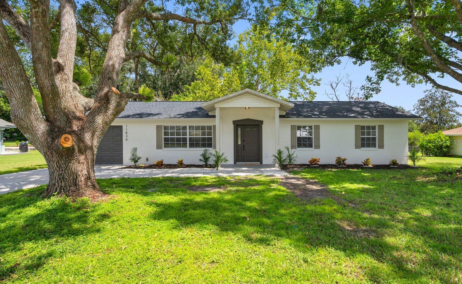11836 ORANGE ST — photo 3
