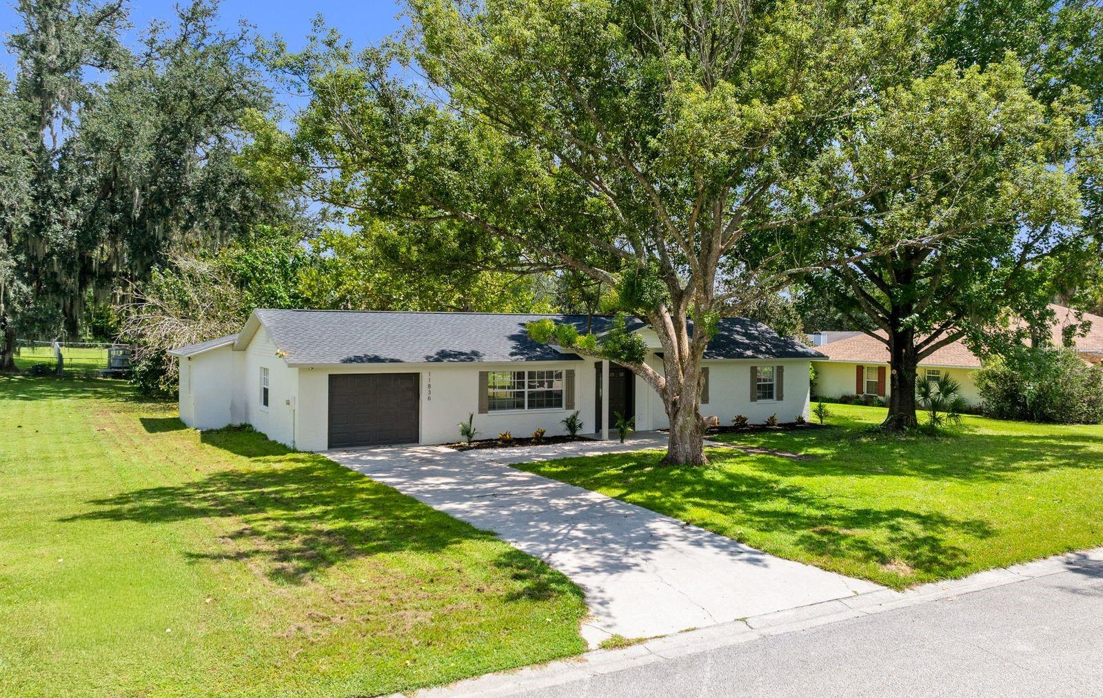 11836 ORANGE ST — photo 2