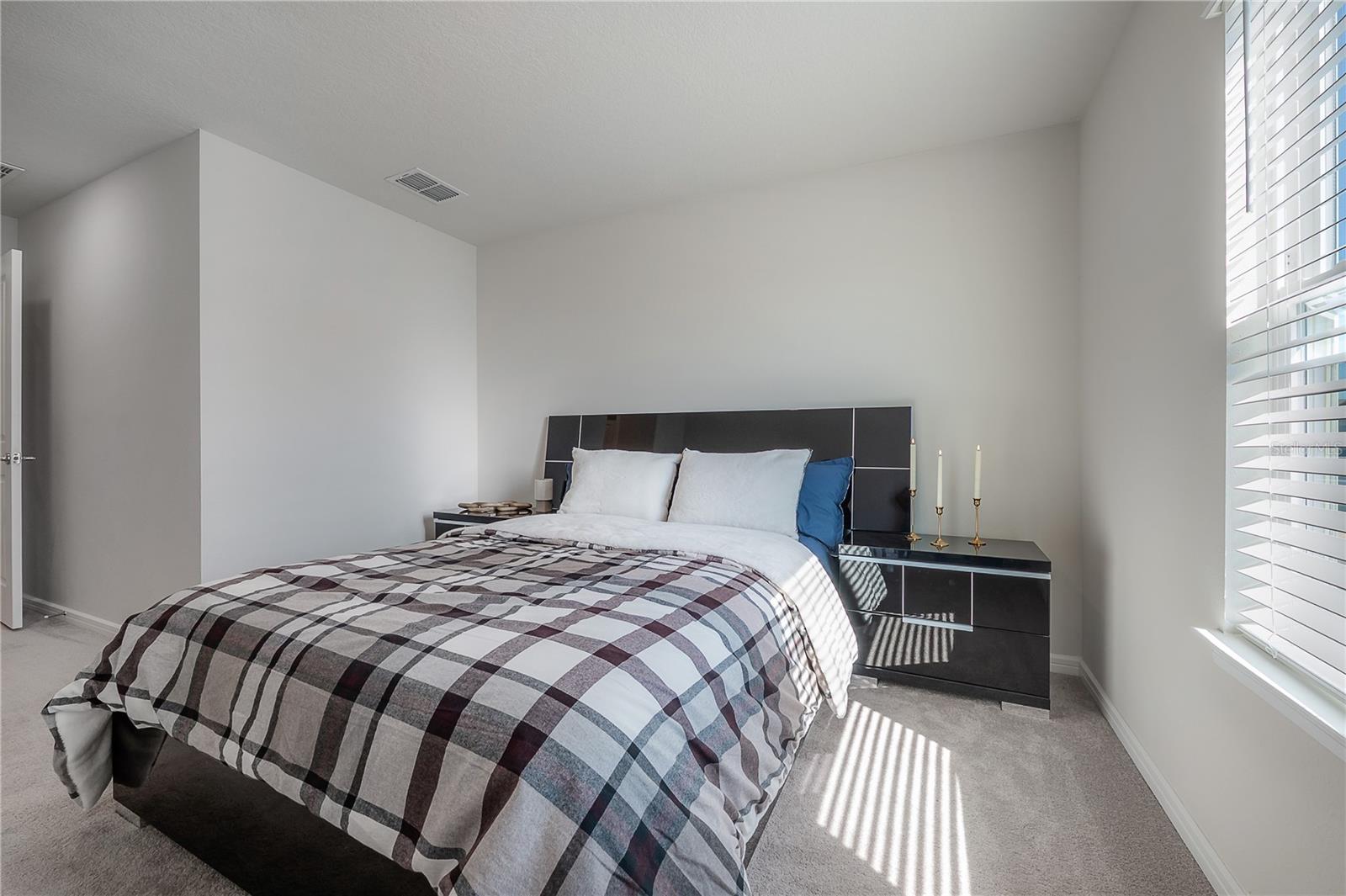 31428 AMBERVIEW BND — photo 24
