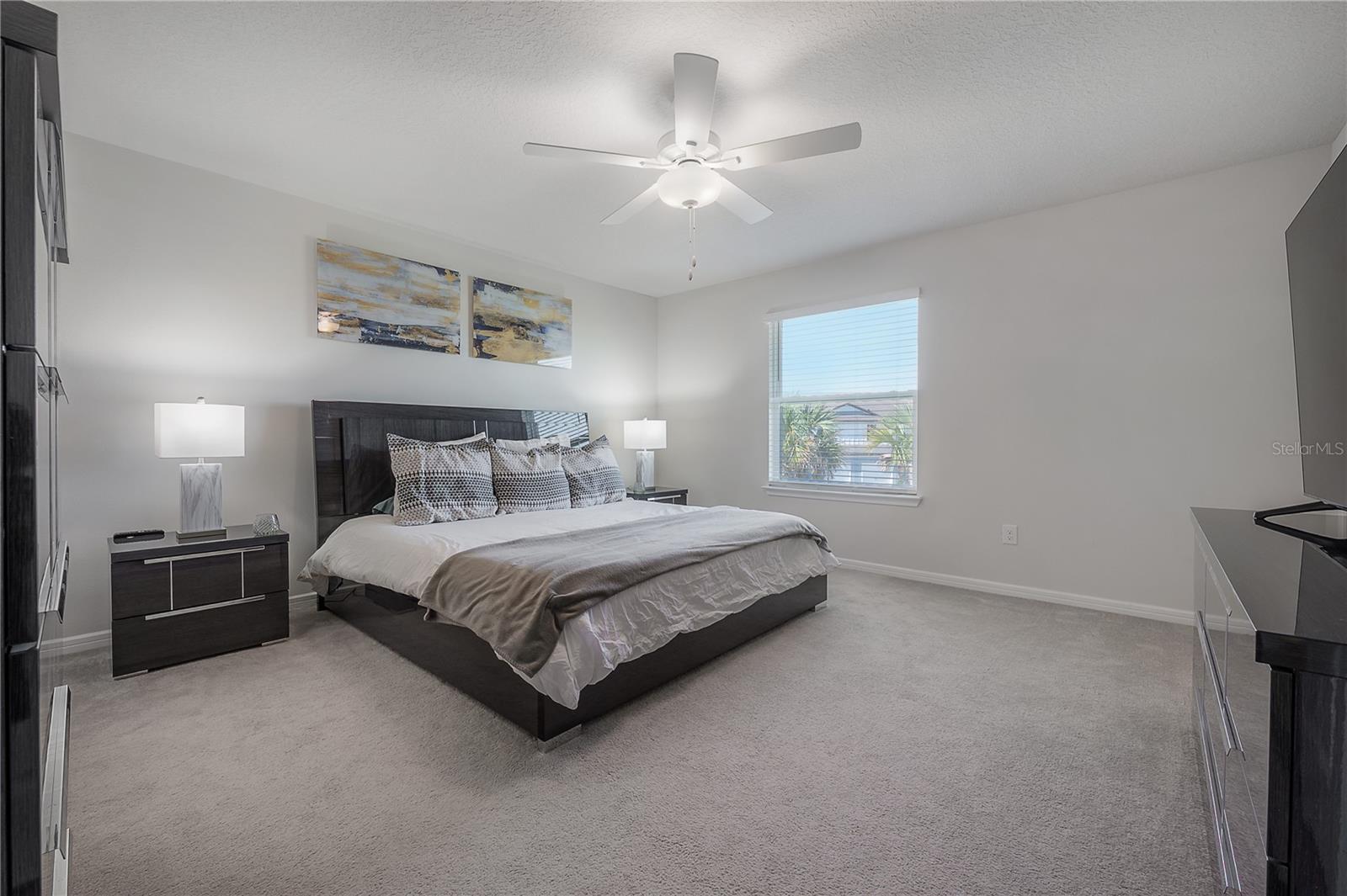 31428 AMBERVIEW BND — photo 19