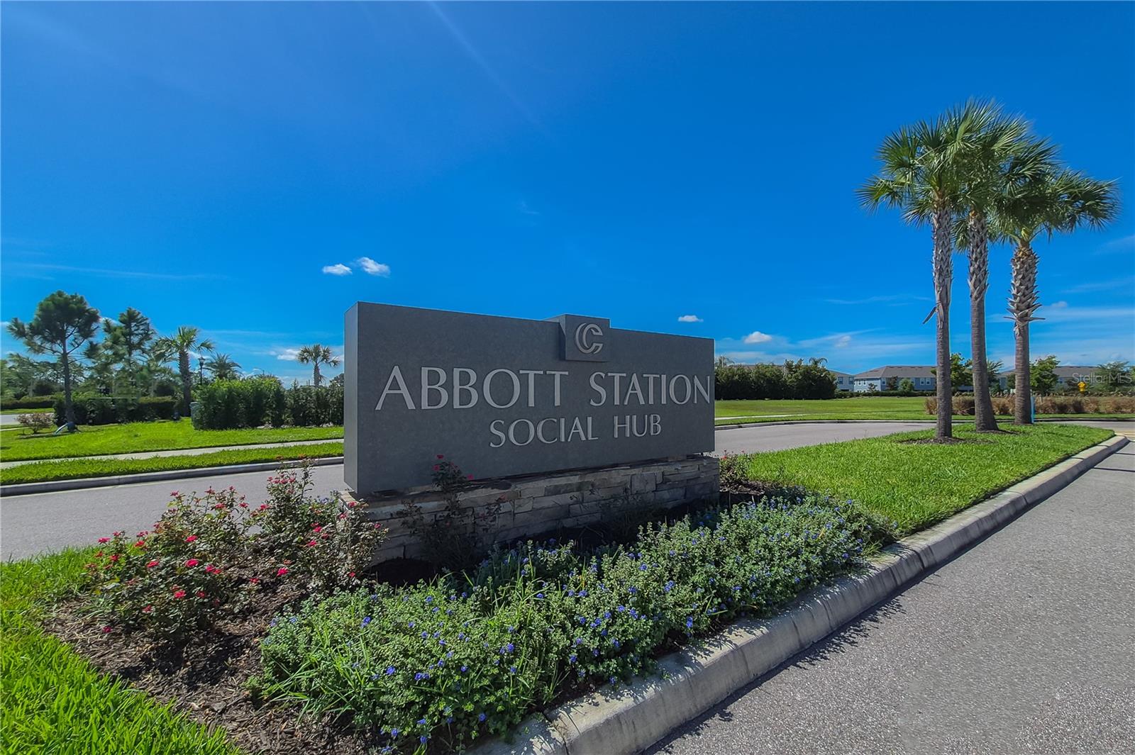 31428 AMBERVIEW BND — photo 61