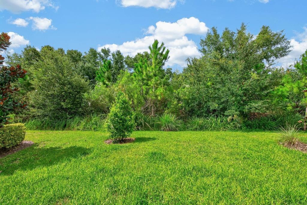 28583 COZY CREEK DR — photo 45