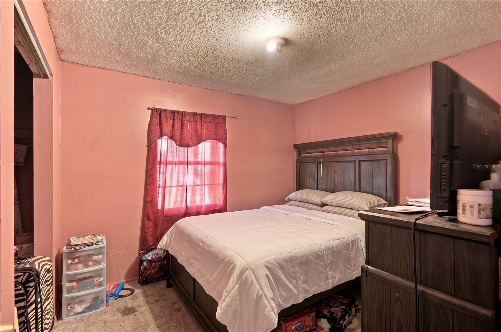 37317 MOCERI AVE — photo 13