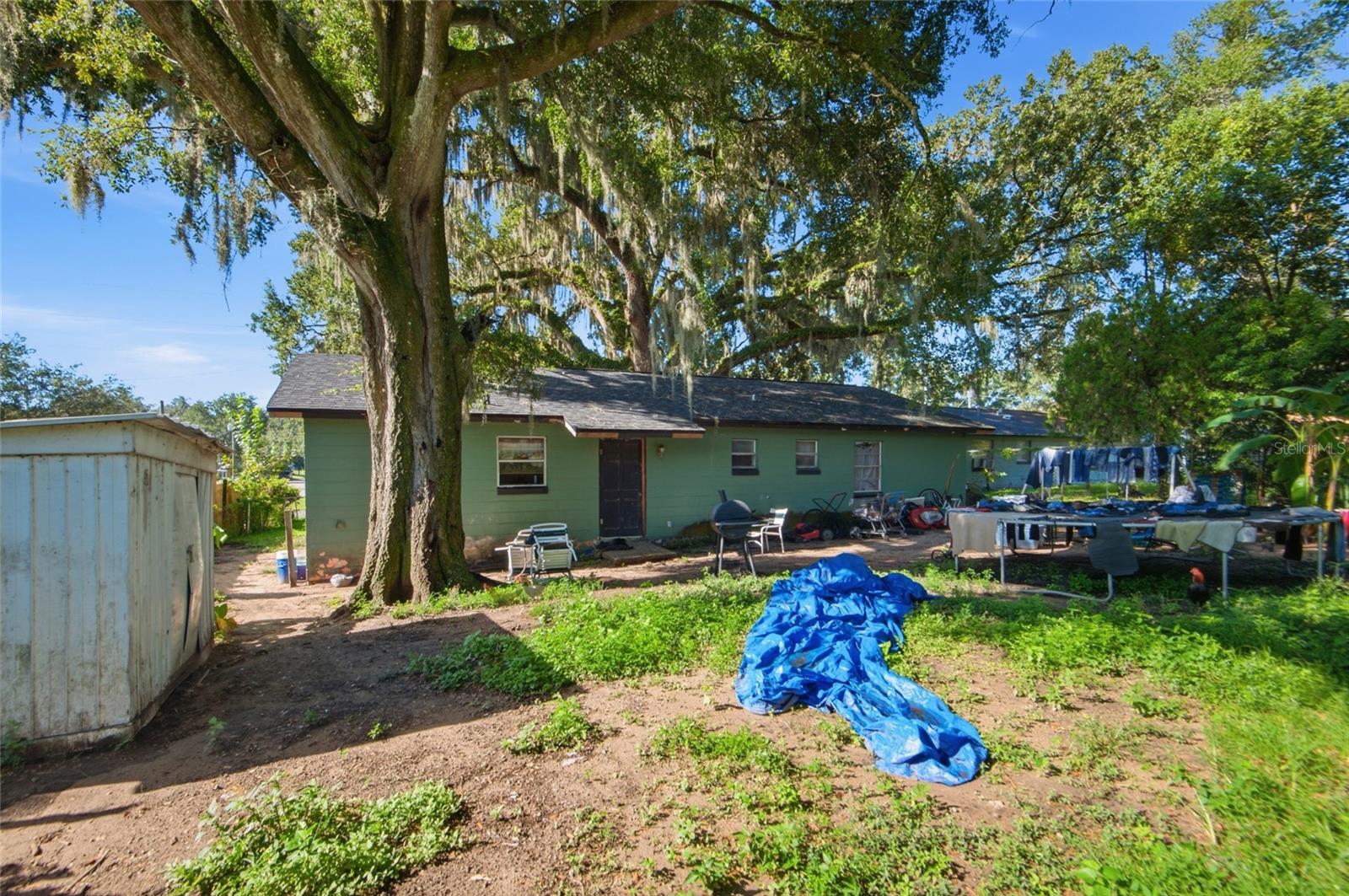37317 MOCERI AVE — photo 15