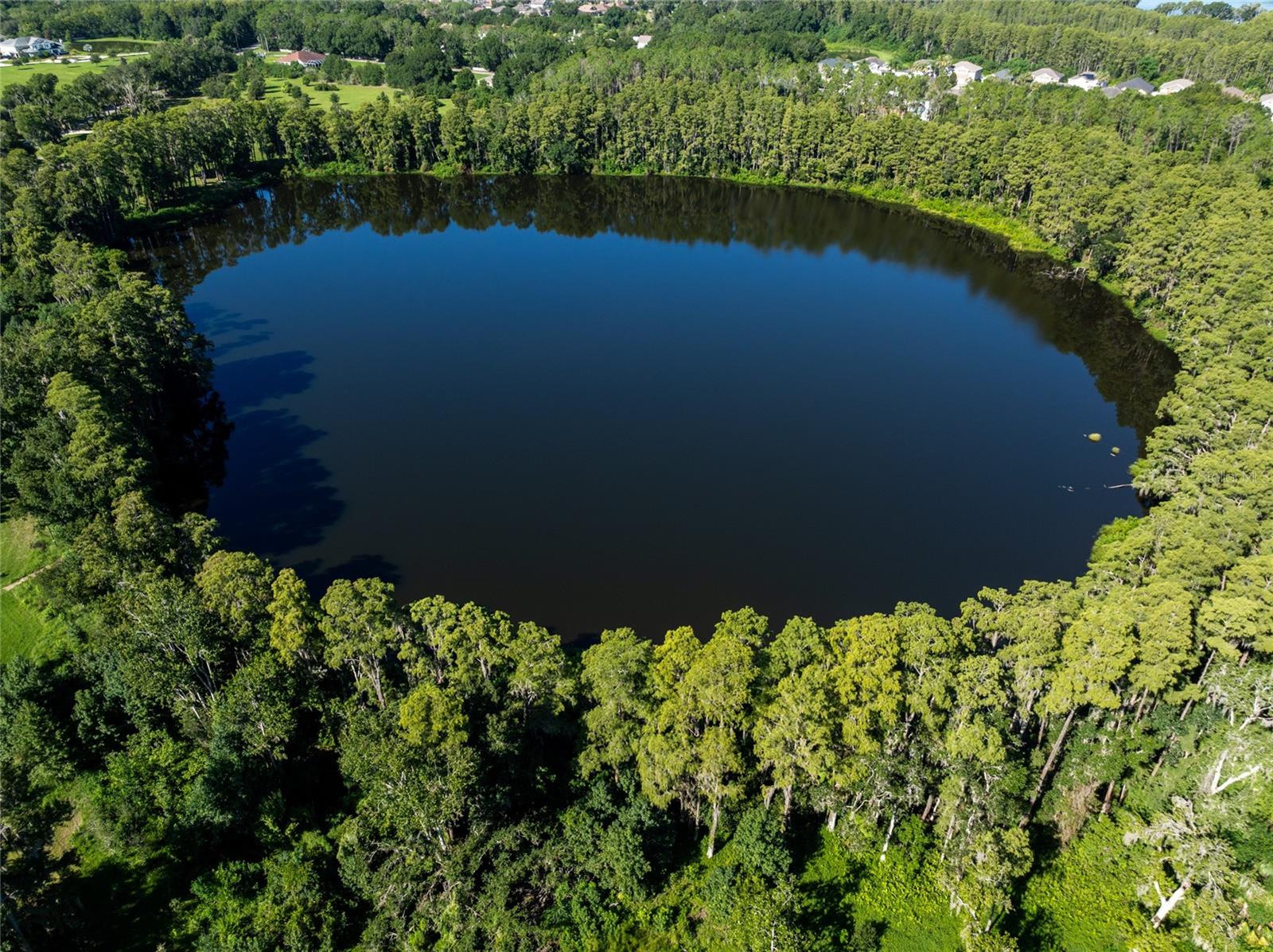 5135 COLLIER PKWY — photo 3