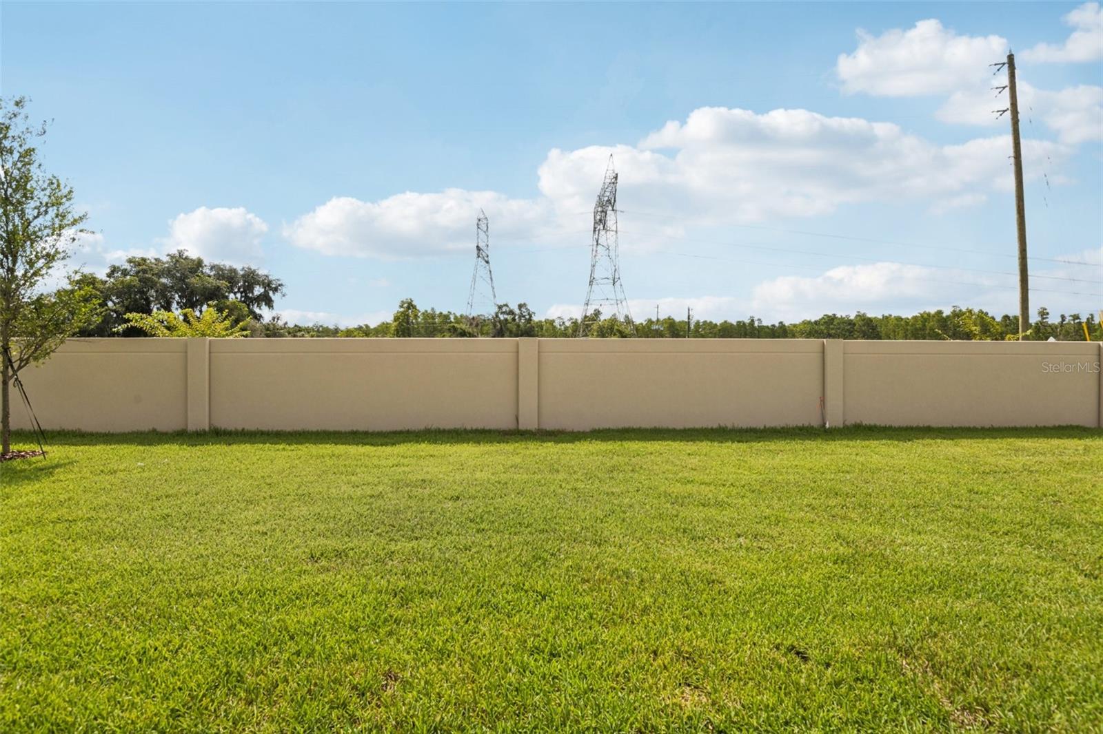 10667 STEINAHATCHEE LN — photo 40
