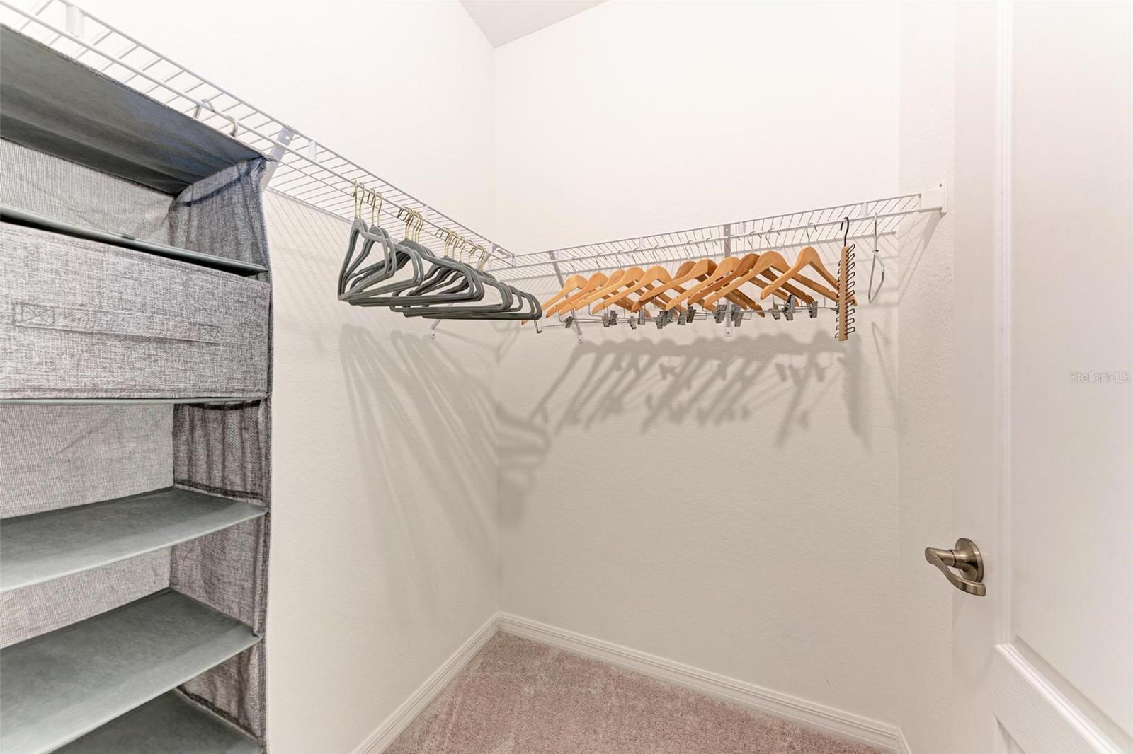 24157 SPARTINA DR — photo 33
