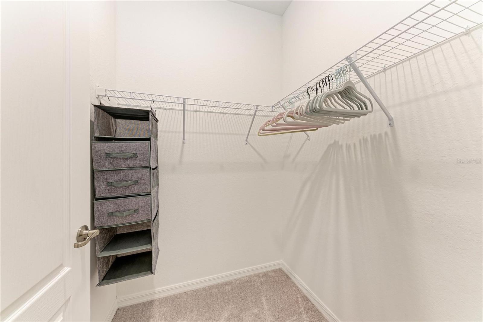 24157 SPARTINA DR — photo 32