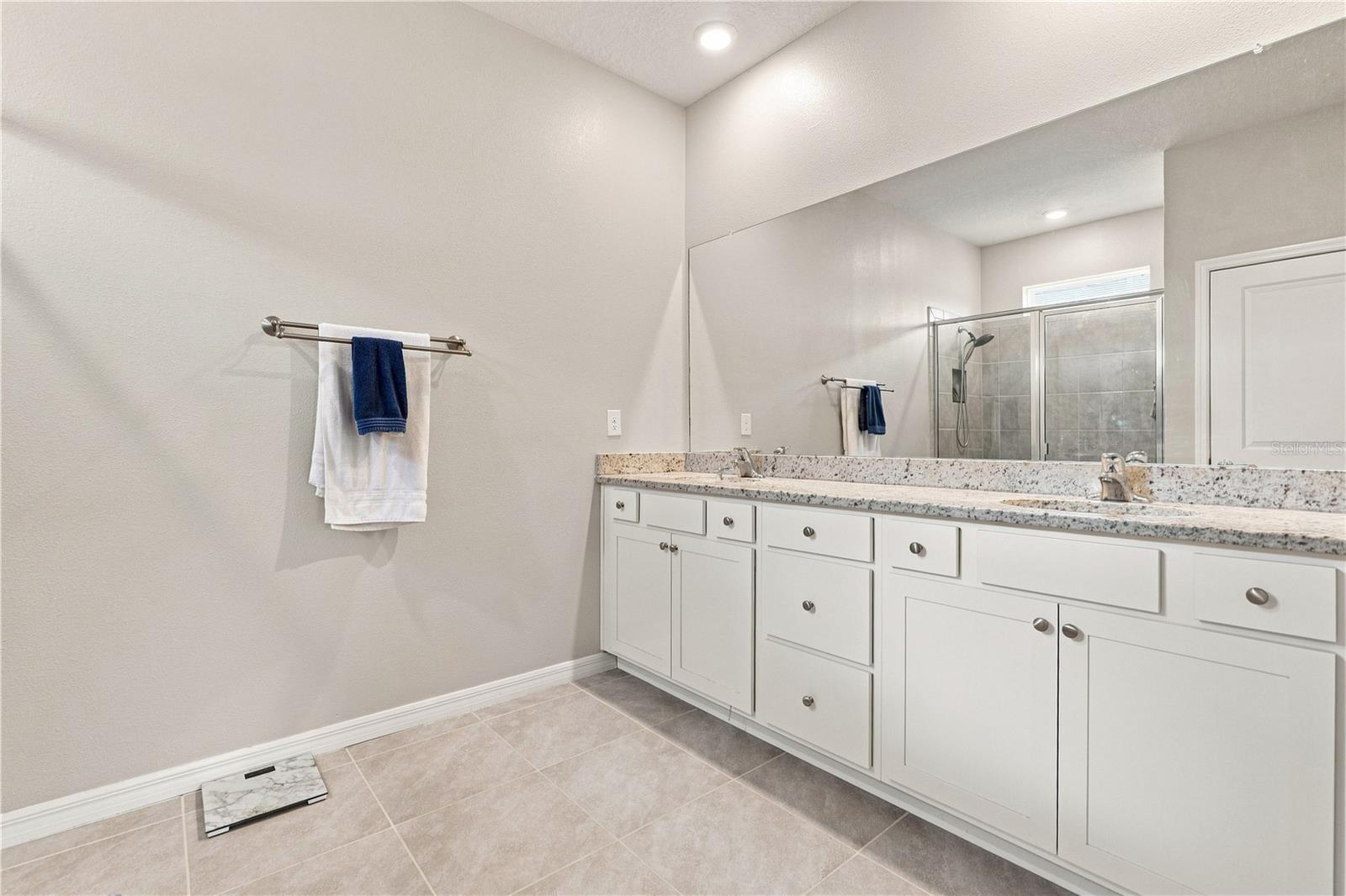 3916 MOSSY LIMB CT — photo 14