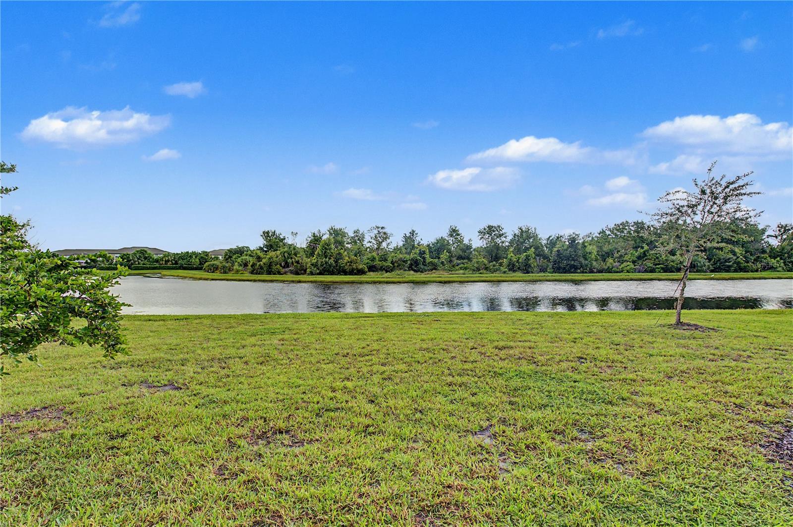 10938 FIELDSTONE DR — photo 19