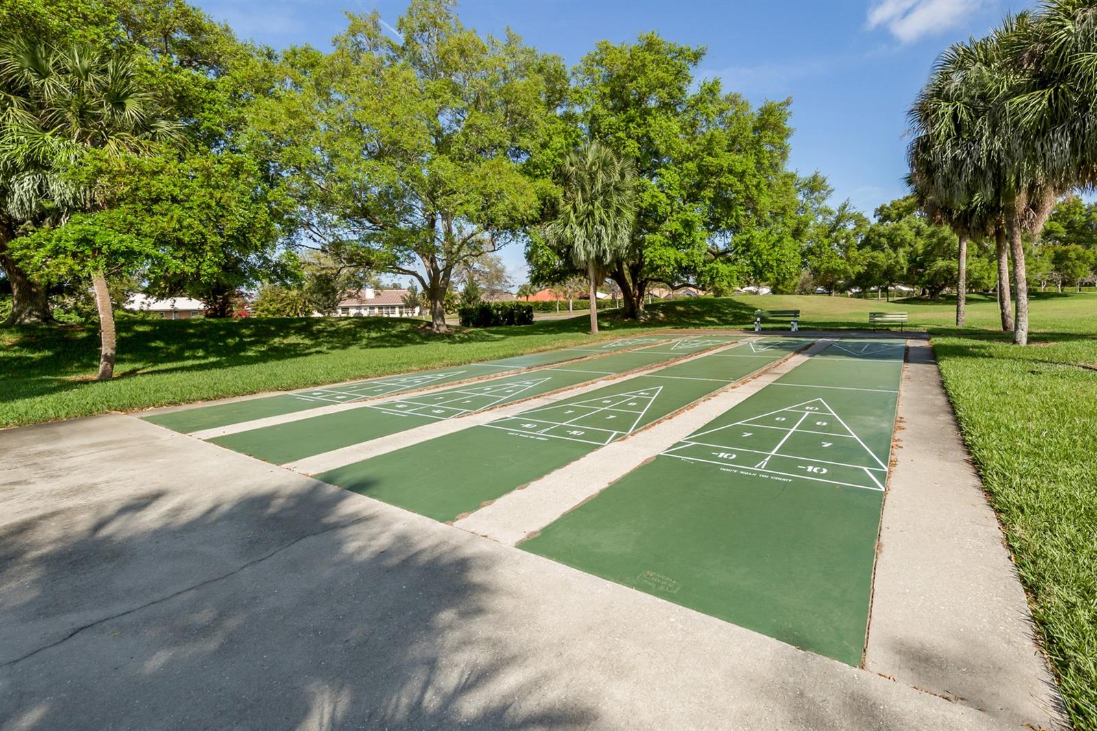 3286 MEADOW RUN CIR — photo 70