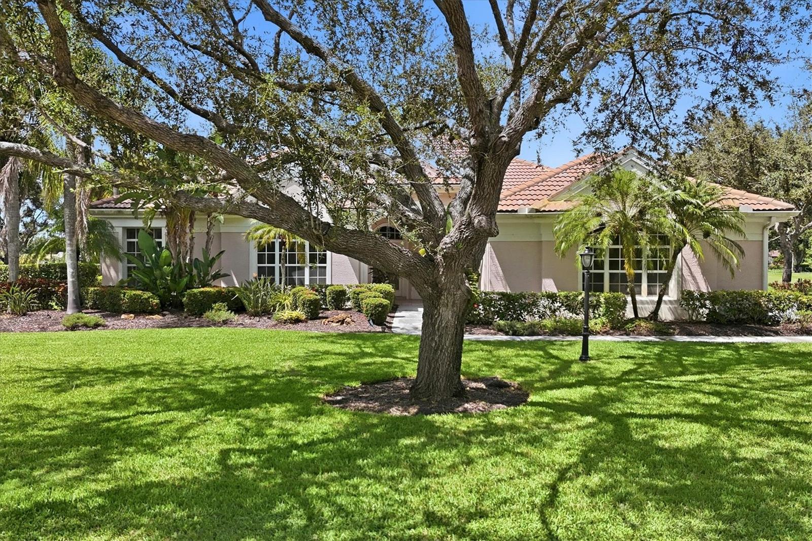6847 ARECA BLVD — photo 4