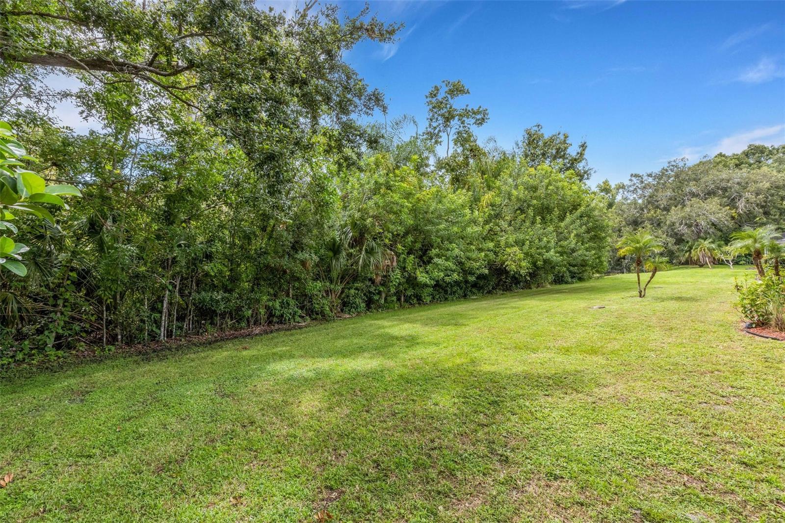 6104 NICOLE DR — photo 57