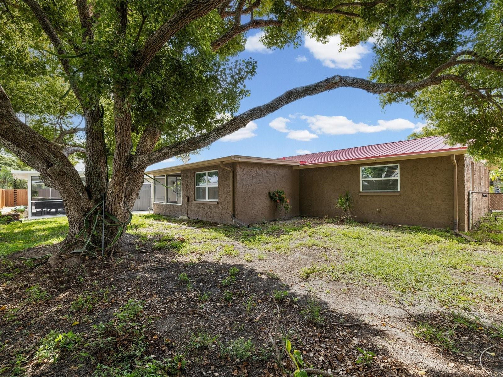 6805 ALTAVISTA ST — photo 20