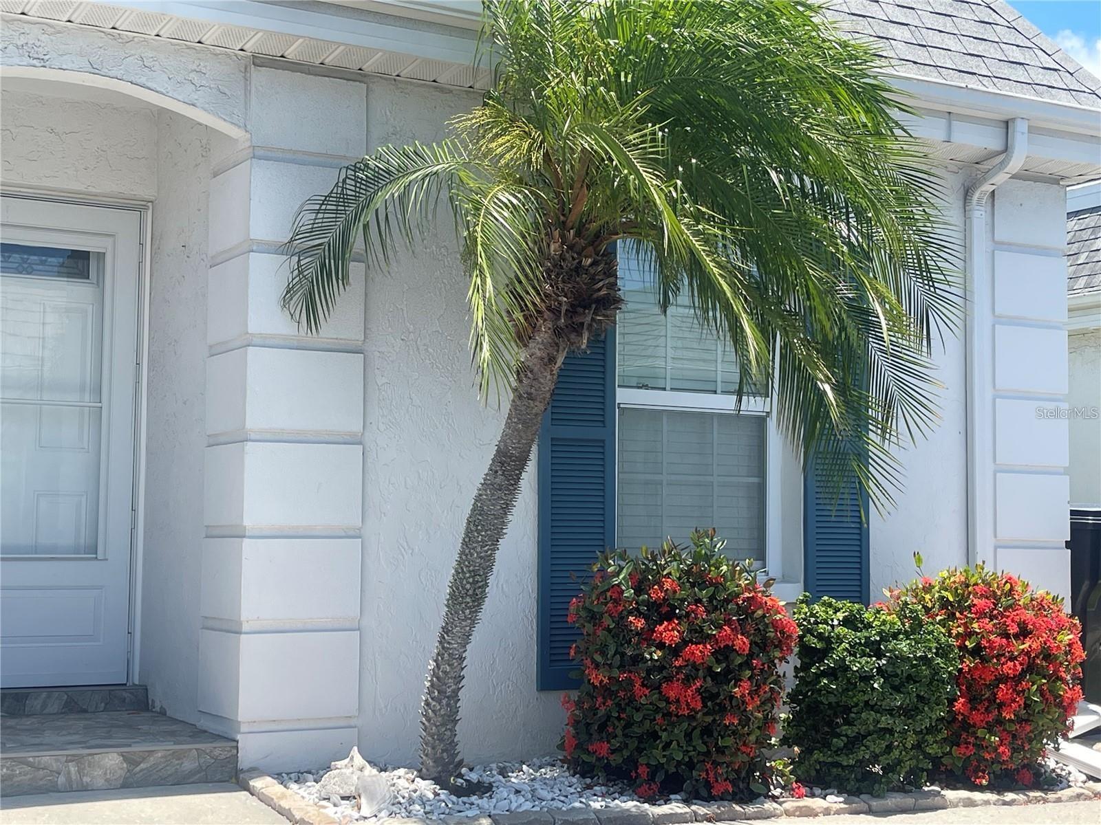 9819 HERNANDO CT #29-A — photo 2