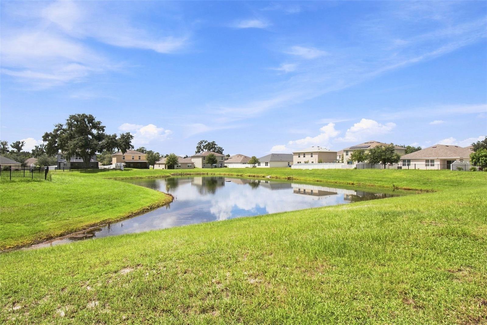 11833 MYRTLE ROCK DR — photo 75
