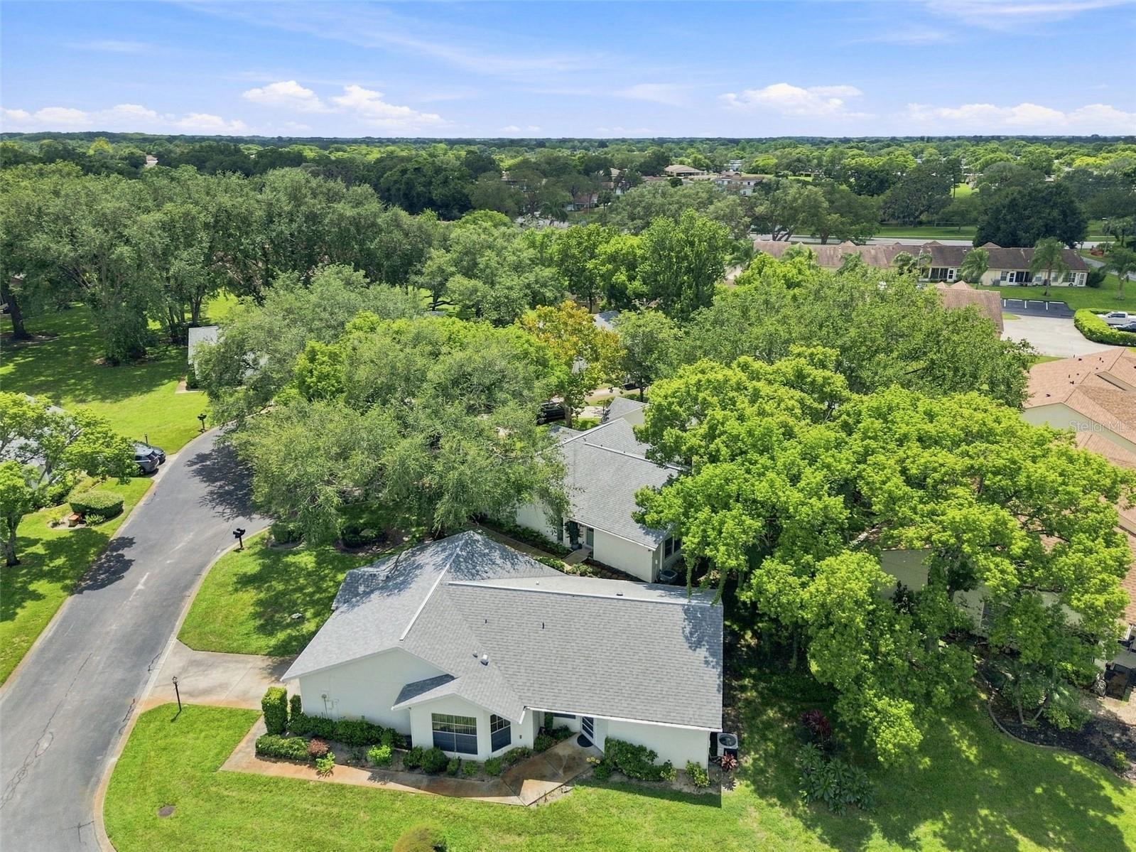 11541 SAN REMO CT — photo 62