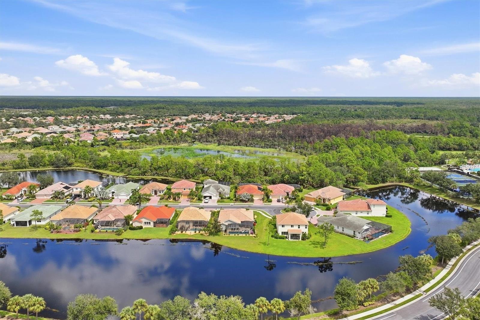 11347 DANCING RIVER DR — photo 59