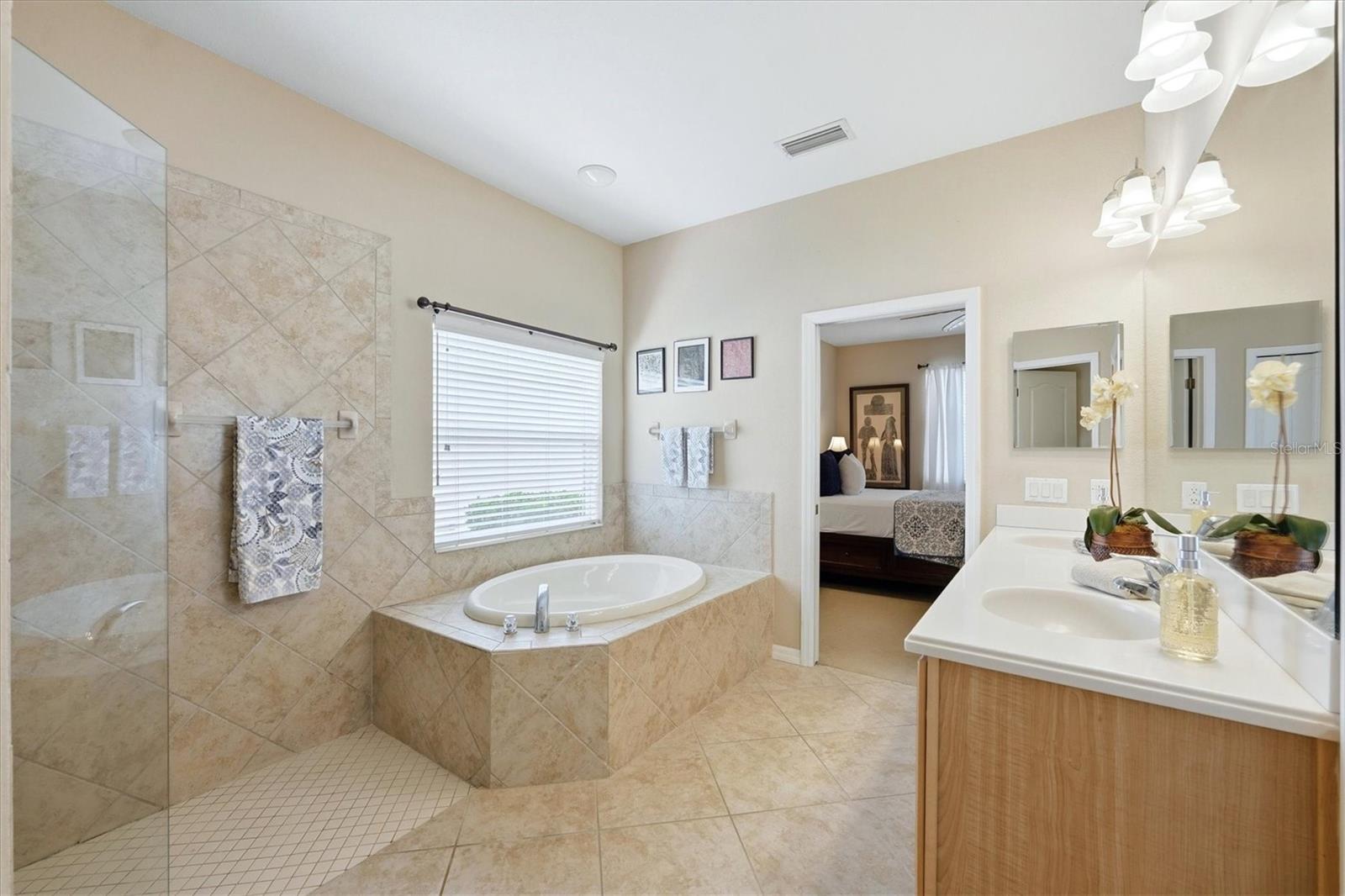 11347 DANCING RIVER DR — photo 33