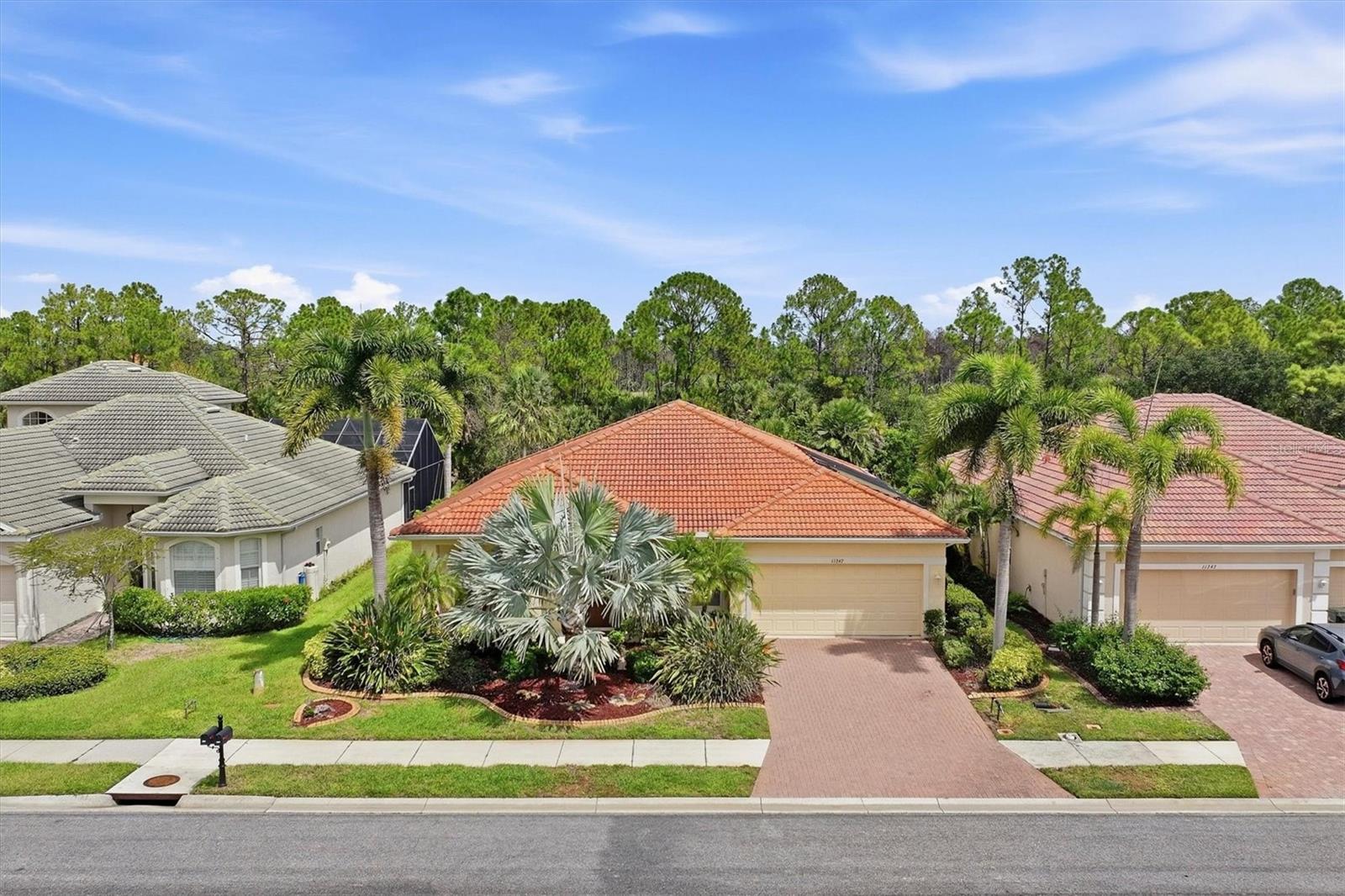 11347 DANCING RIVER DR — photo 3