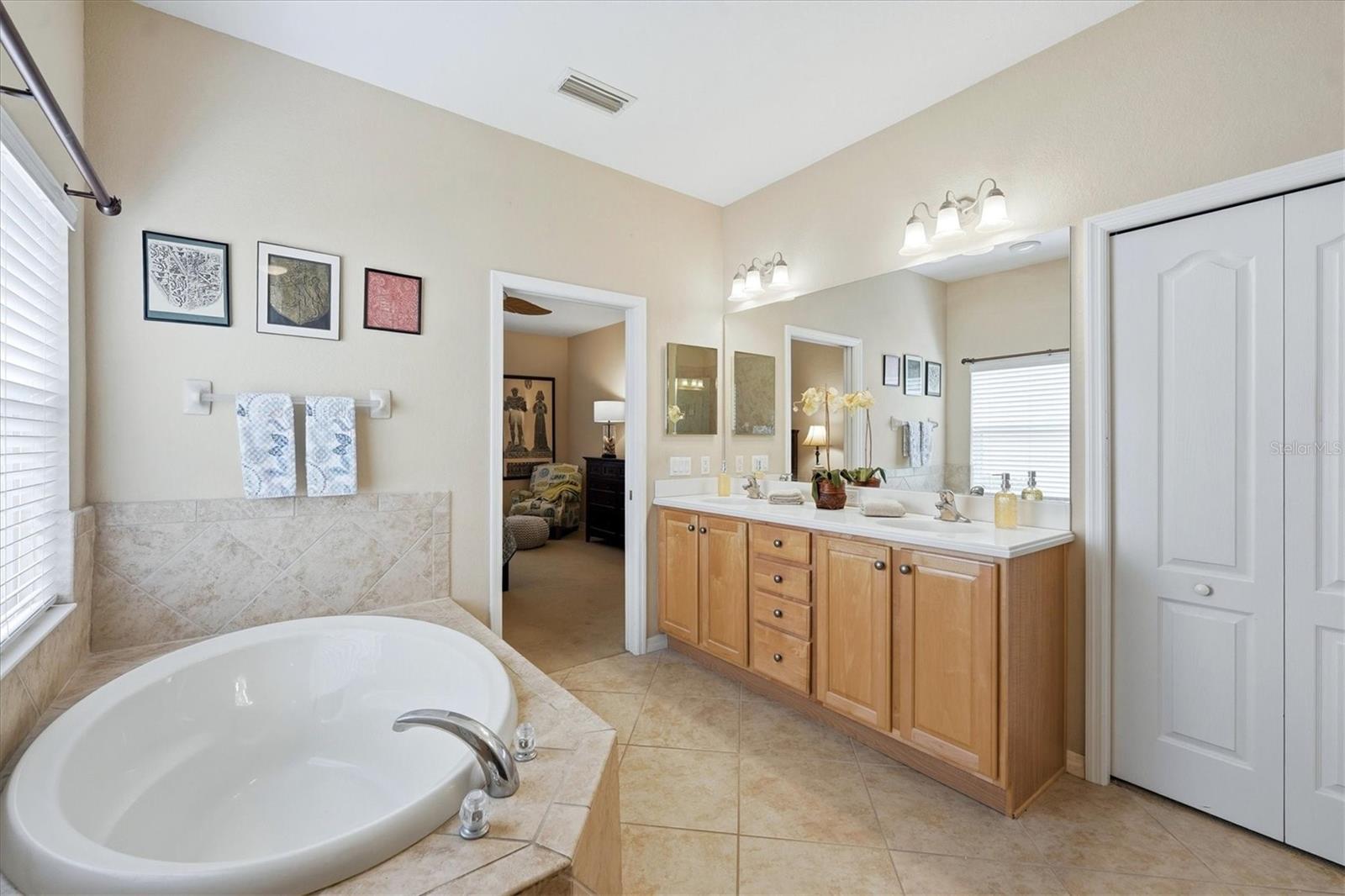 11347 DANCING RIVER DR — photo 32