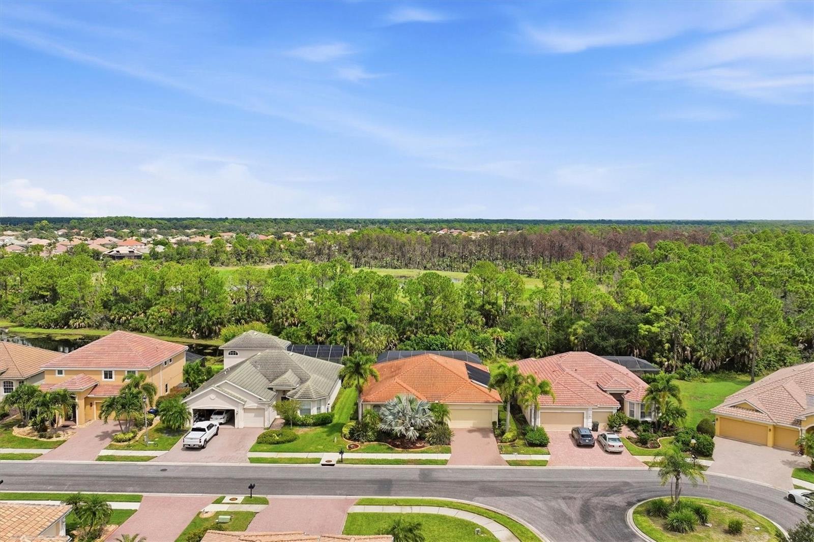 11347 DANCING RIVER DR — photo 63