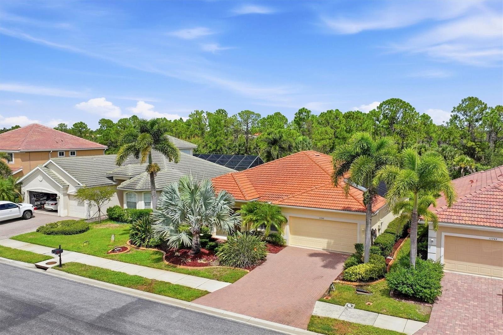 11347 DANCING RIVER DR — photo 14