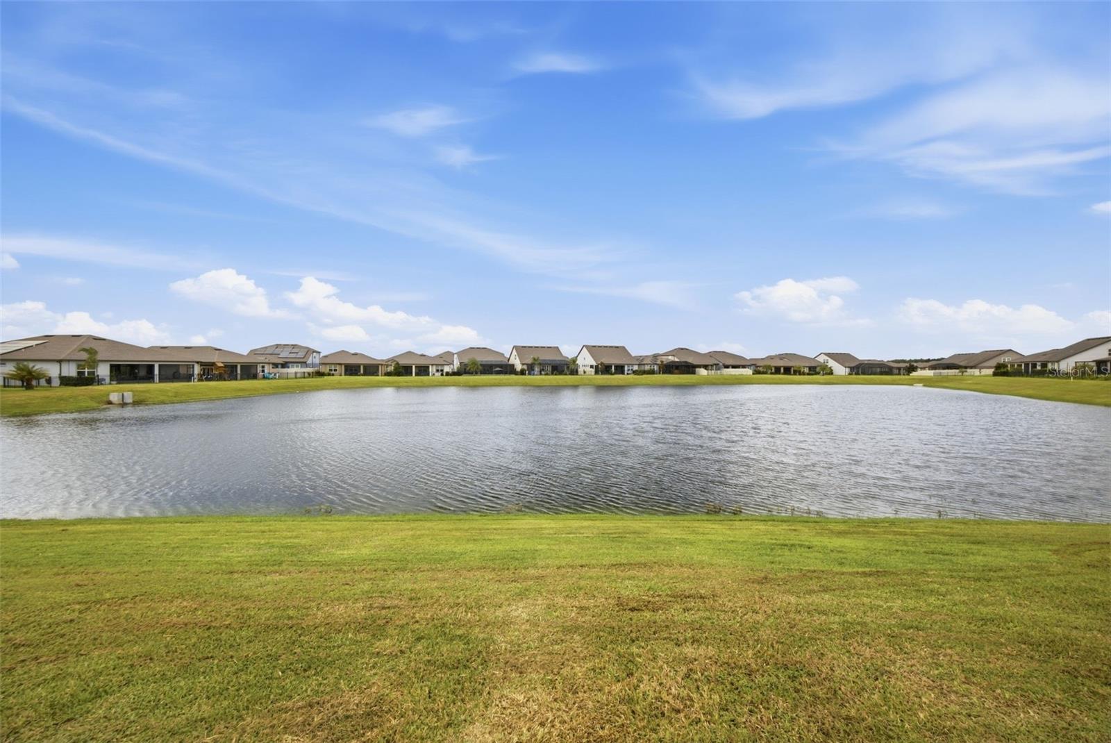 9442 IBIS GROVE BLVD — photo 72