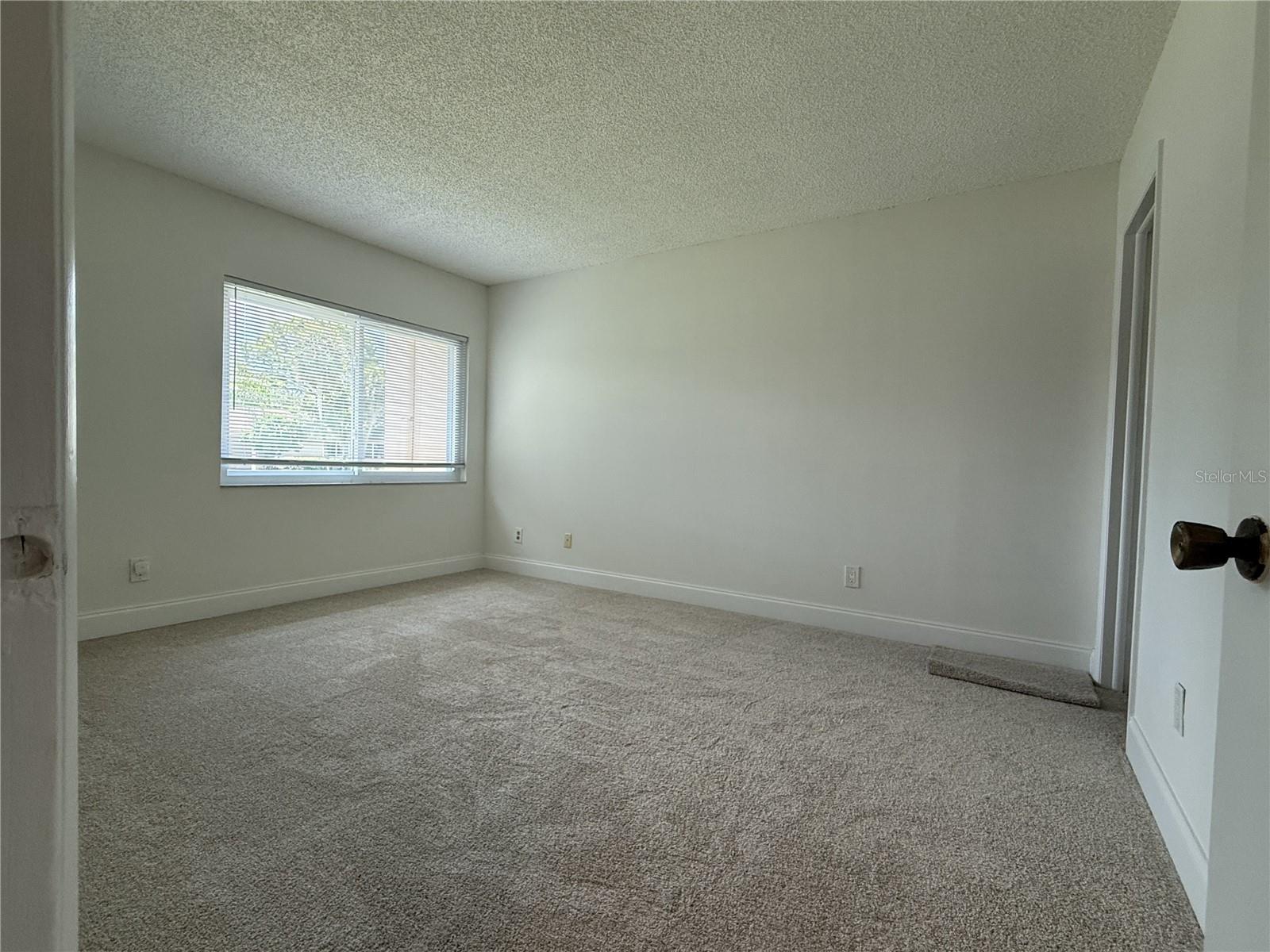 2705 SAND HOLLOW CT CLEARWATER, FL 33761-3732 — photo 33