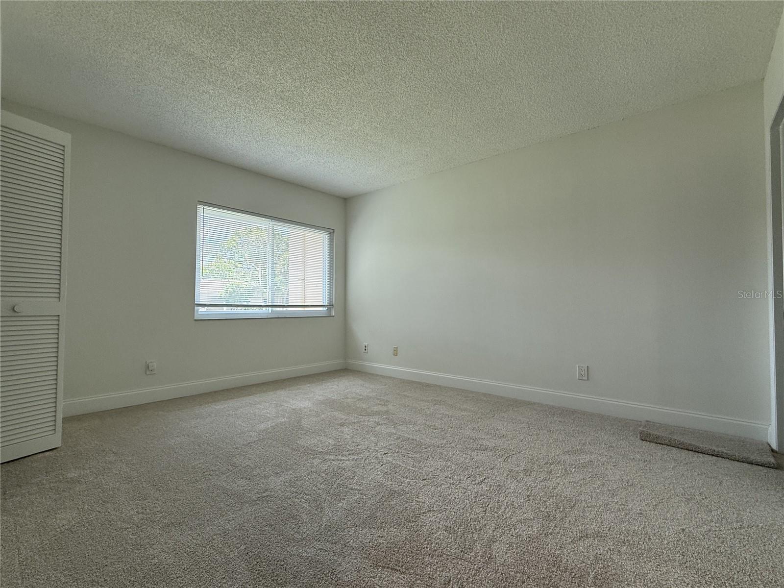 2705 SAND HOLLOW CT CLEARWATER, FL 33761-3732 — photo 31