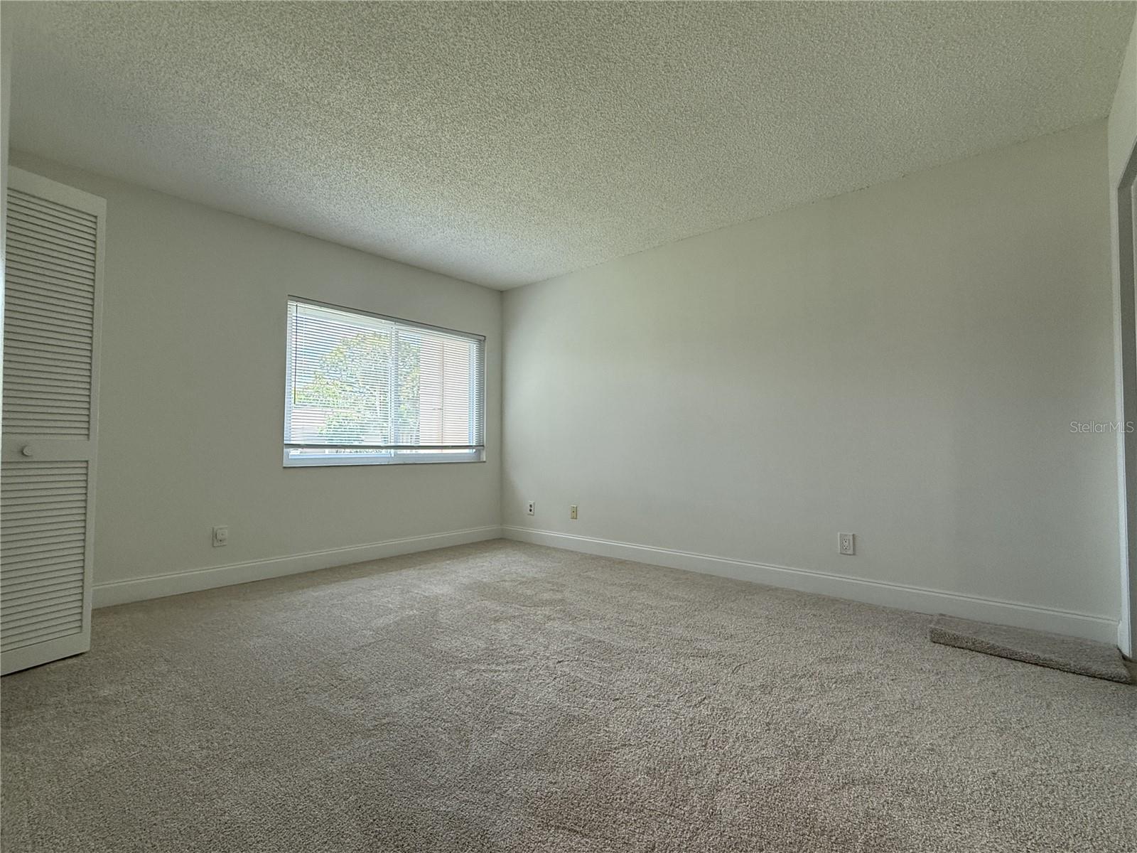 2705 SAND HOLLOW CT CLEARWATER, FL 33761-3732 — photo 32