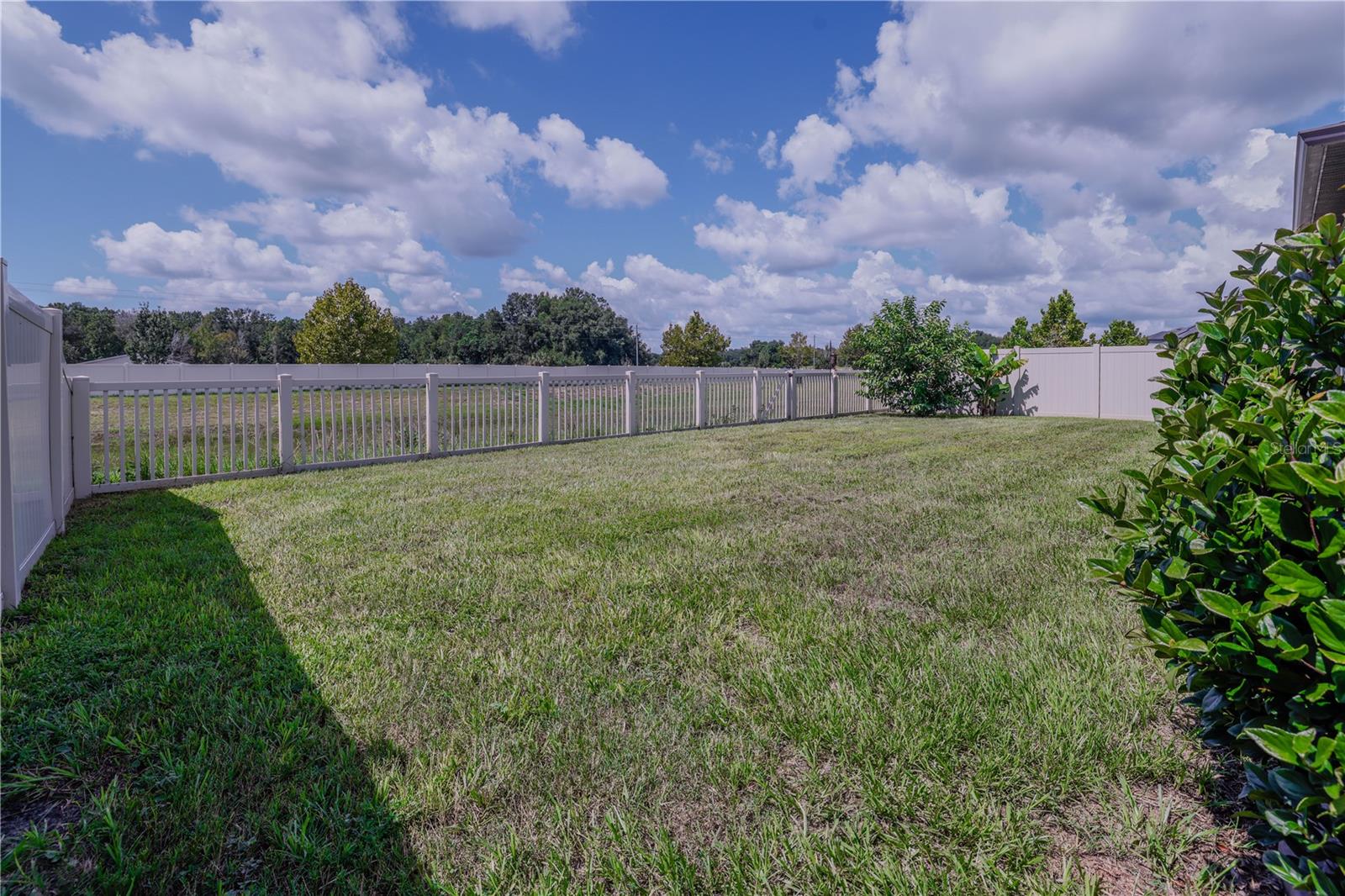 24893 LAMBRUSCO LOOP — photo 30