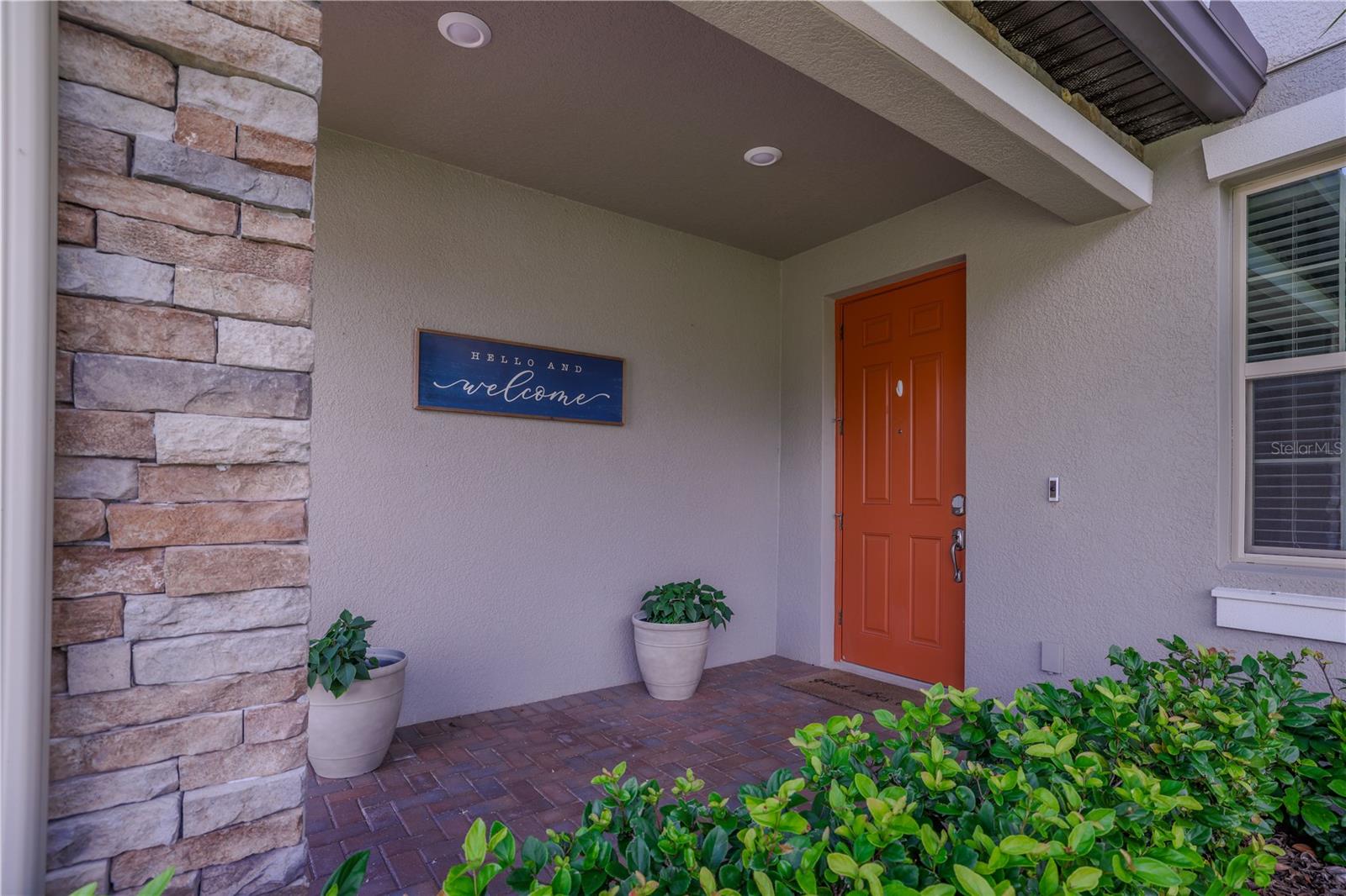 24893 LAMBRUSCO LOOP — photo 2