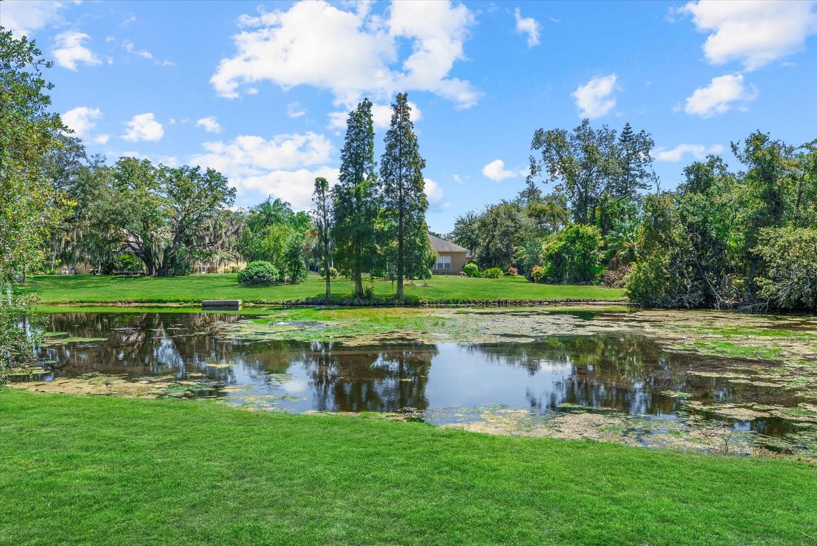 8805 CROSSWOOD CT — photo 43