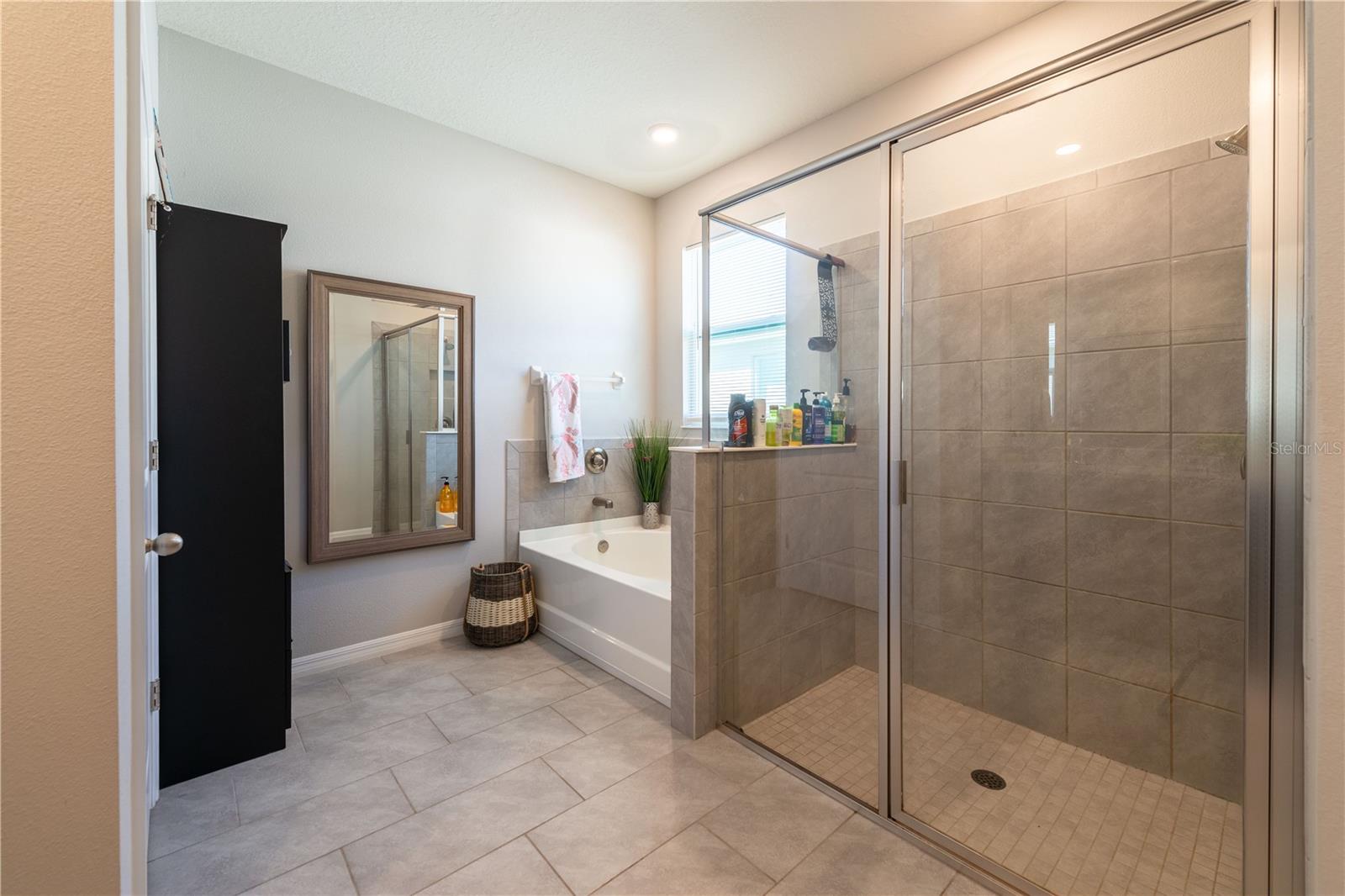 2247 MIDNIGHT PEARL DR — photo 20