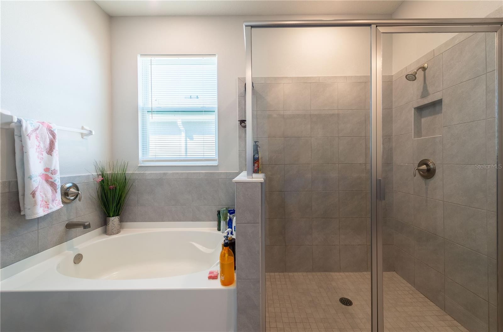 2247 MIDNIGHT PEARL DR — photo 21