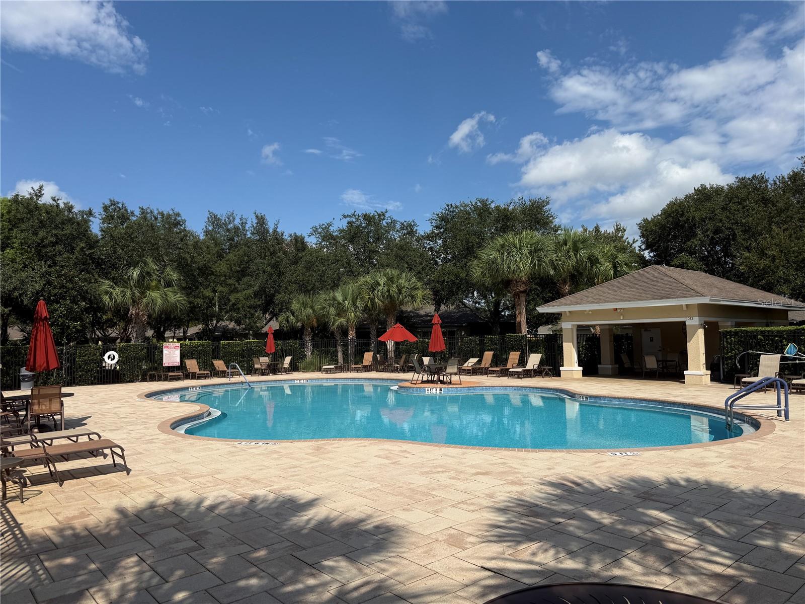 2219 PARROT FISH DR — photo 44