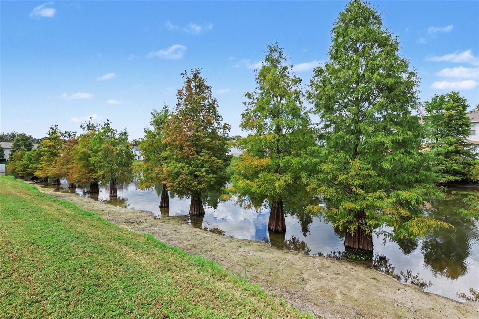 4607 ASHBURN SQUARE DR — photo 32
