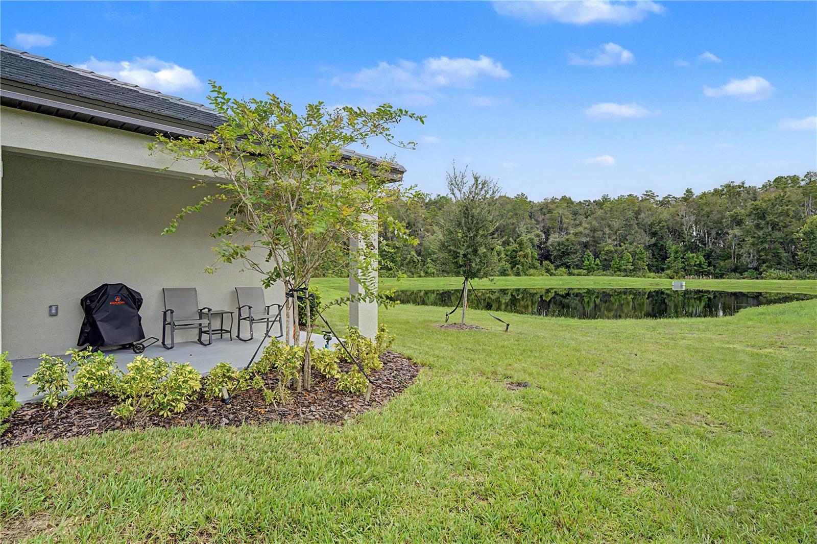 10906 RUSTIC EVE CT — photo 24