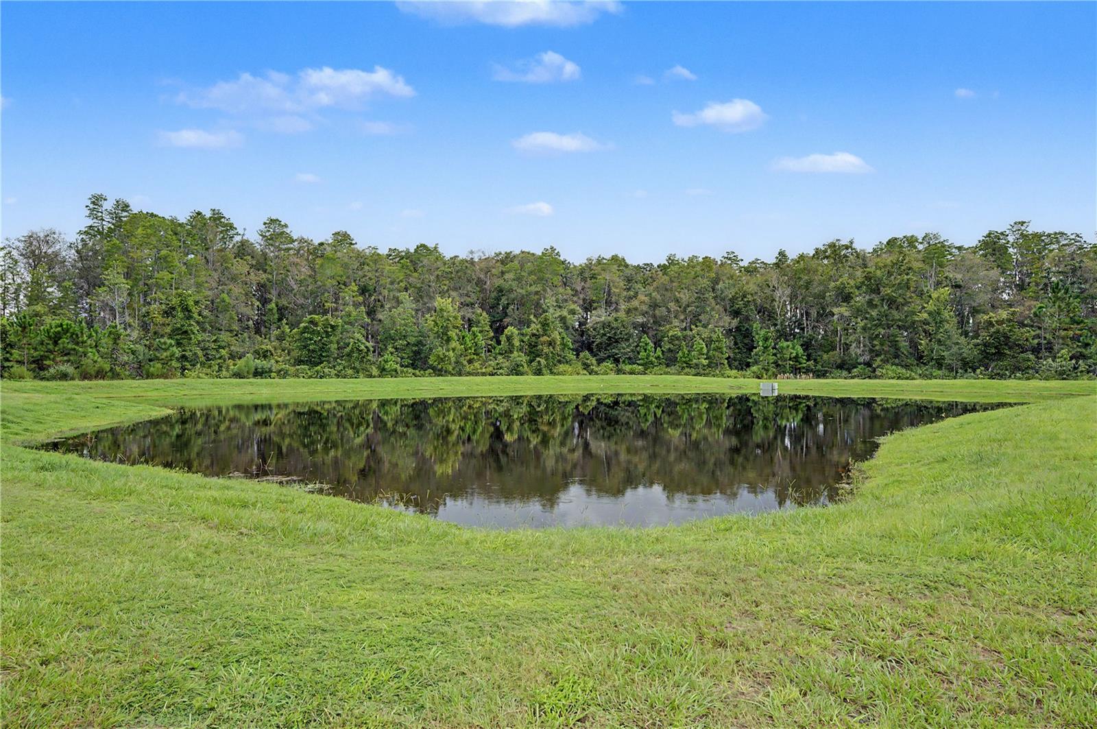 10906 RUSTIC EVE CT — photo 2