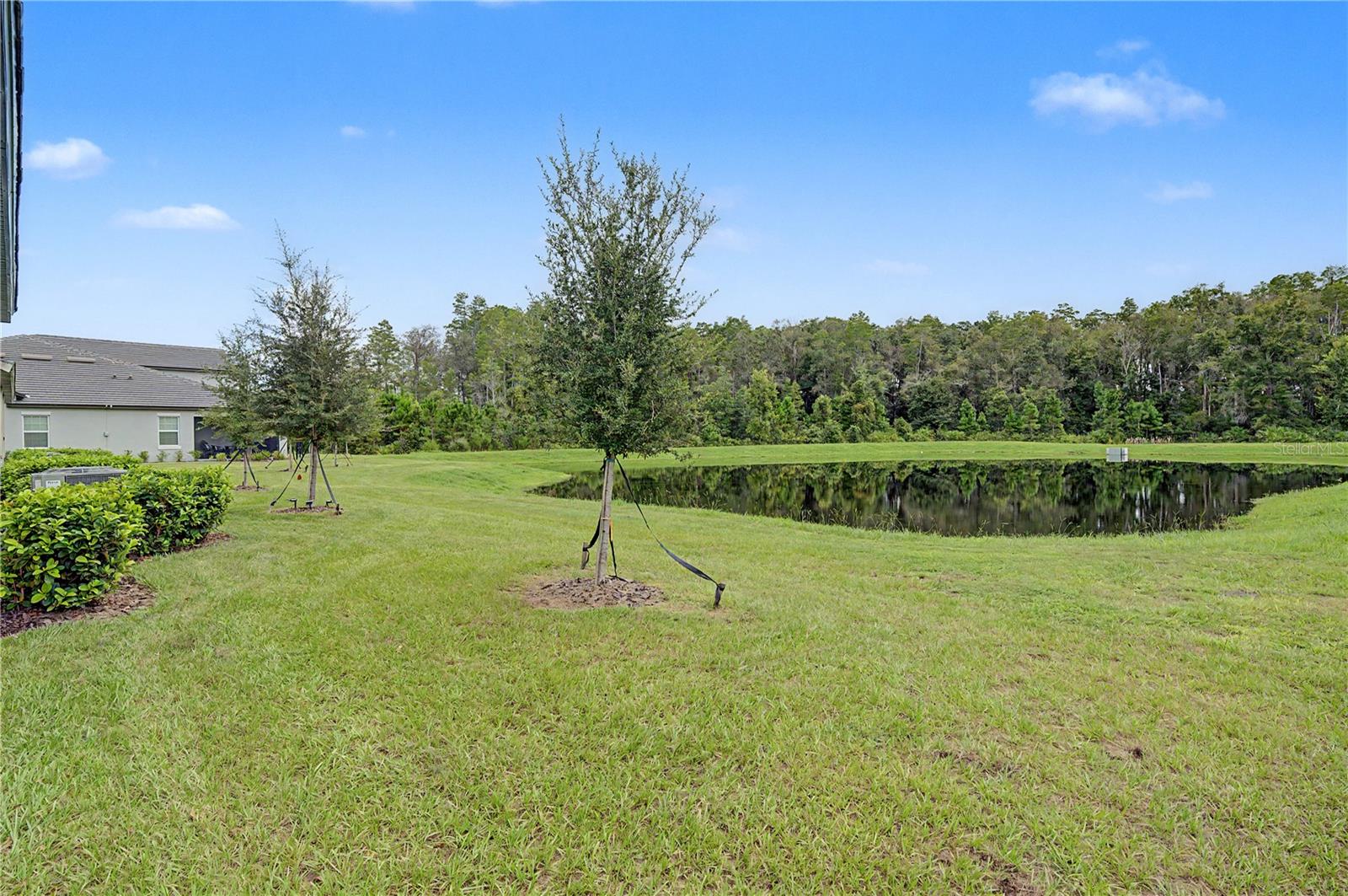 10906 RUSTIC EVE CT — photo 22